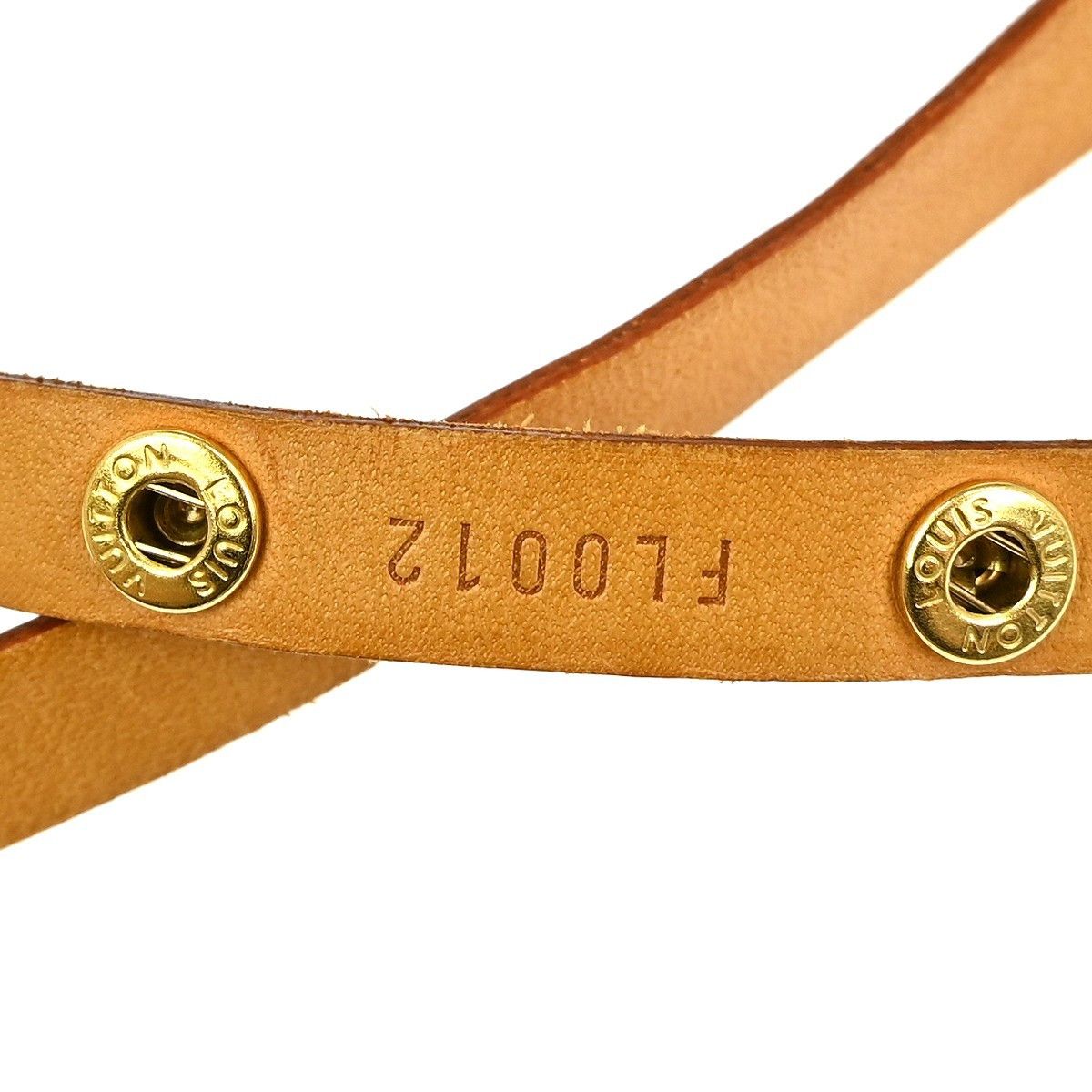 Louis Vuitton Louis Vuitton Florentine Waist Bag Monogram Canvas Size ONE SIZE - 7 Thumbnail