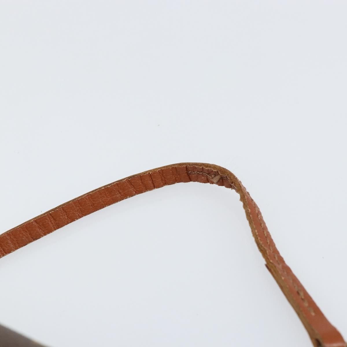 Louis Vuitton Louis Vuitton Papillon Pochette Monogram Canvas Size ONE SIZE - 15 Thumbnail