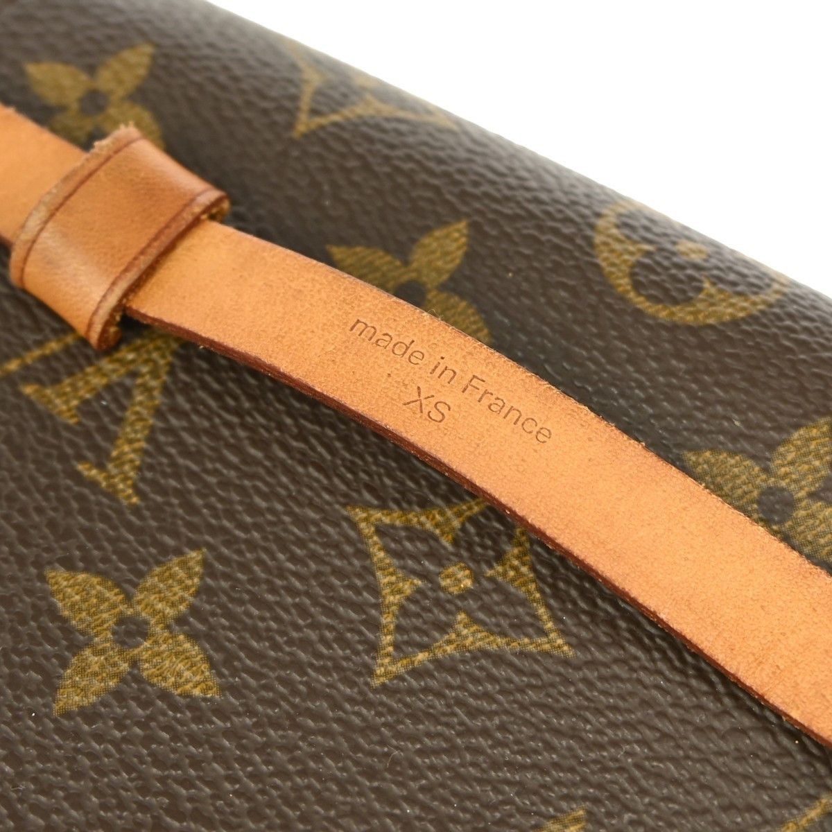 Louis Vuitton Louis Vuitton Florentine Waist Bag Monogram Canvas Size ONE SIZE - 6 Thumbnail