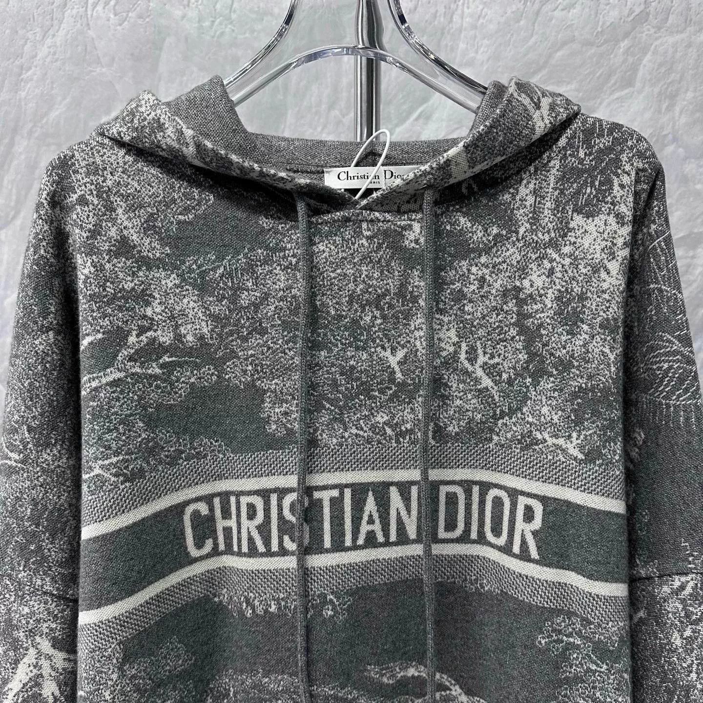 Dior new dior animal logo hoodie size large Size US L / EU 52-54 / 3 - 2 Thumbnail