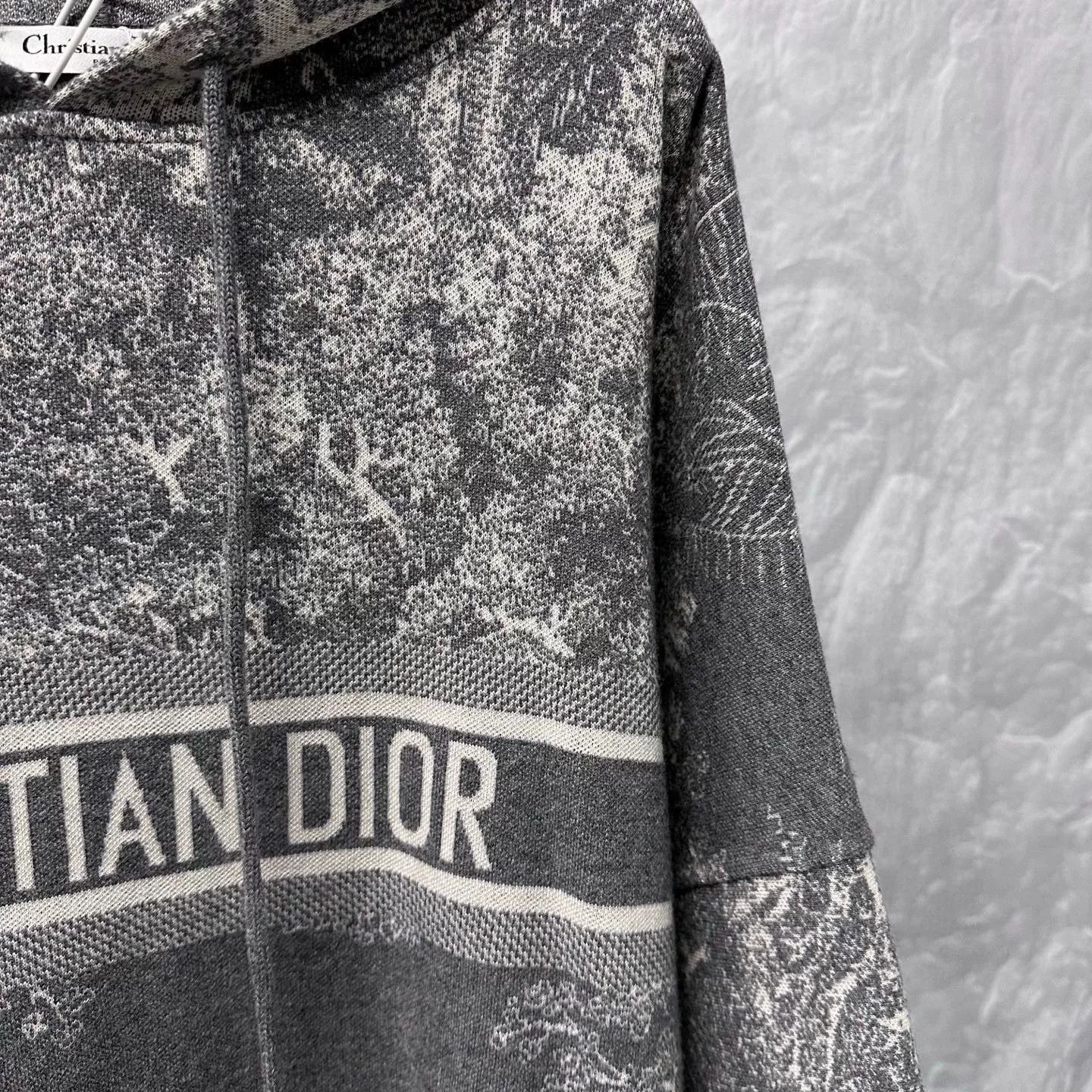 Dior new dior animal logo hoodie size large Size US L / EU 52-54 / 3 - 3 Thumbnail