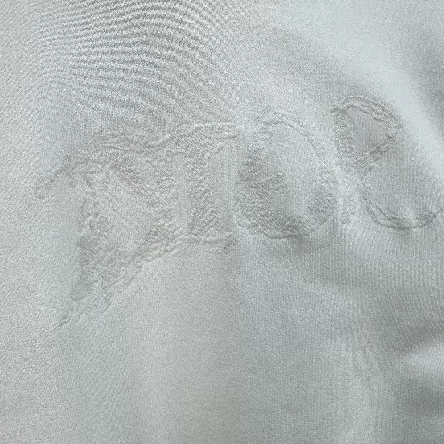 Dior dior peter doig embroidered logo sweatshirt Size US XL / EU 56 / 4 - 6 Thumbnail