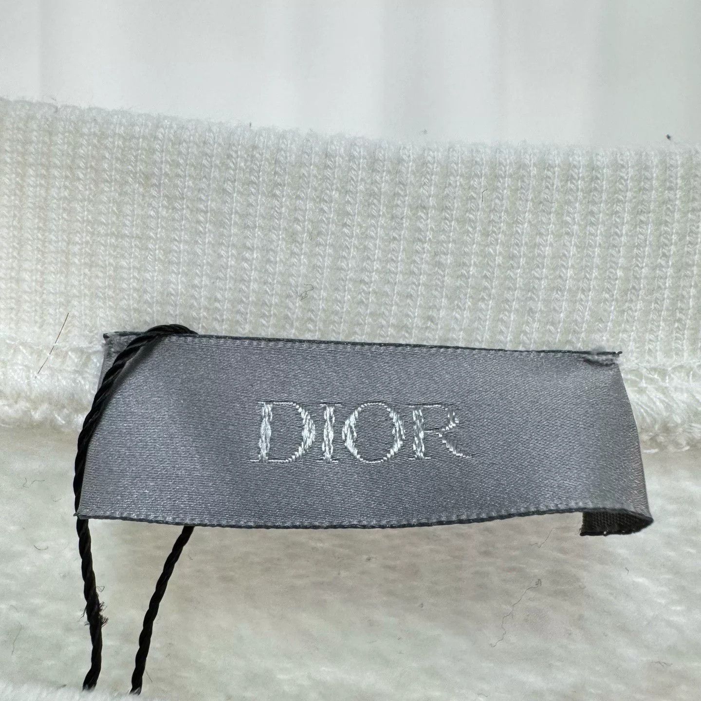Dior dior peter doig embroidered logo sweatshirt Size US XL / EU 56 / 4 - 7 Thumbnail