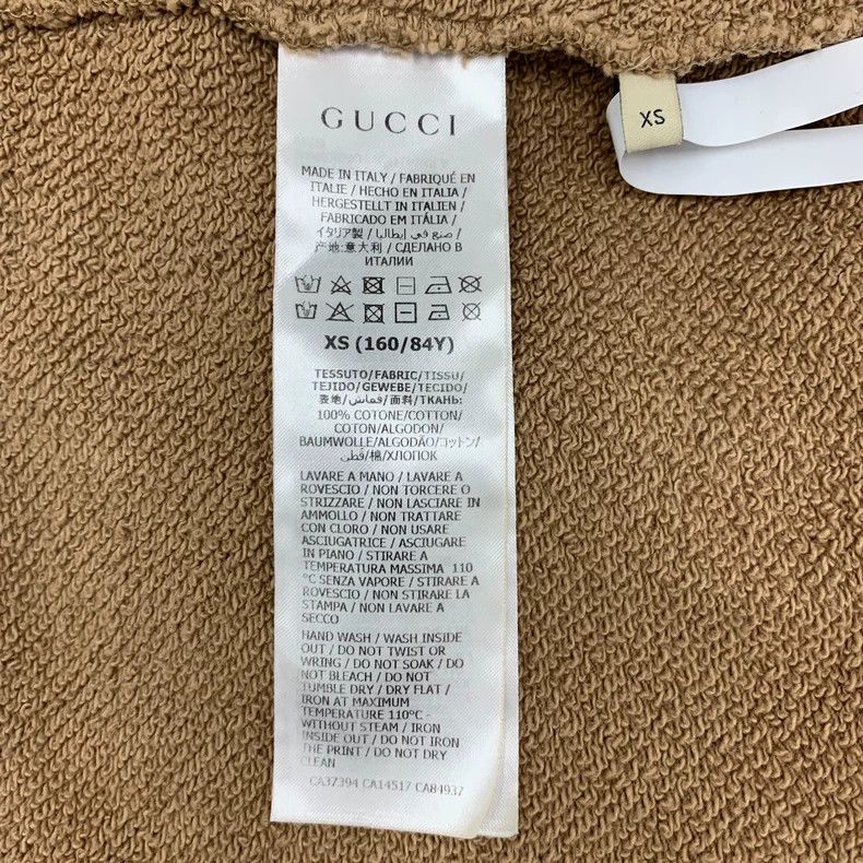 Gucci Gucci x The North Face Brown Hoodie Size US XS / EU 42 / 0 - 6 Thumbnail