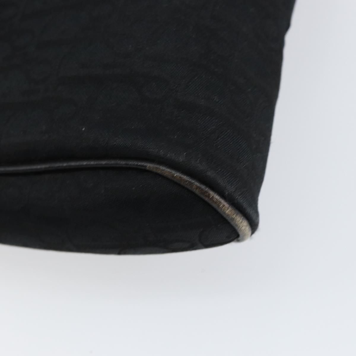 Dior Christian Dior Trotter pouch Diorissimo Canvas Size ONE SIZE - 9 Thumbnail