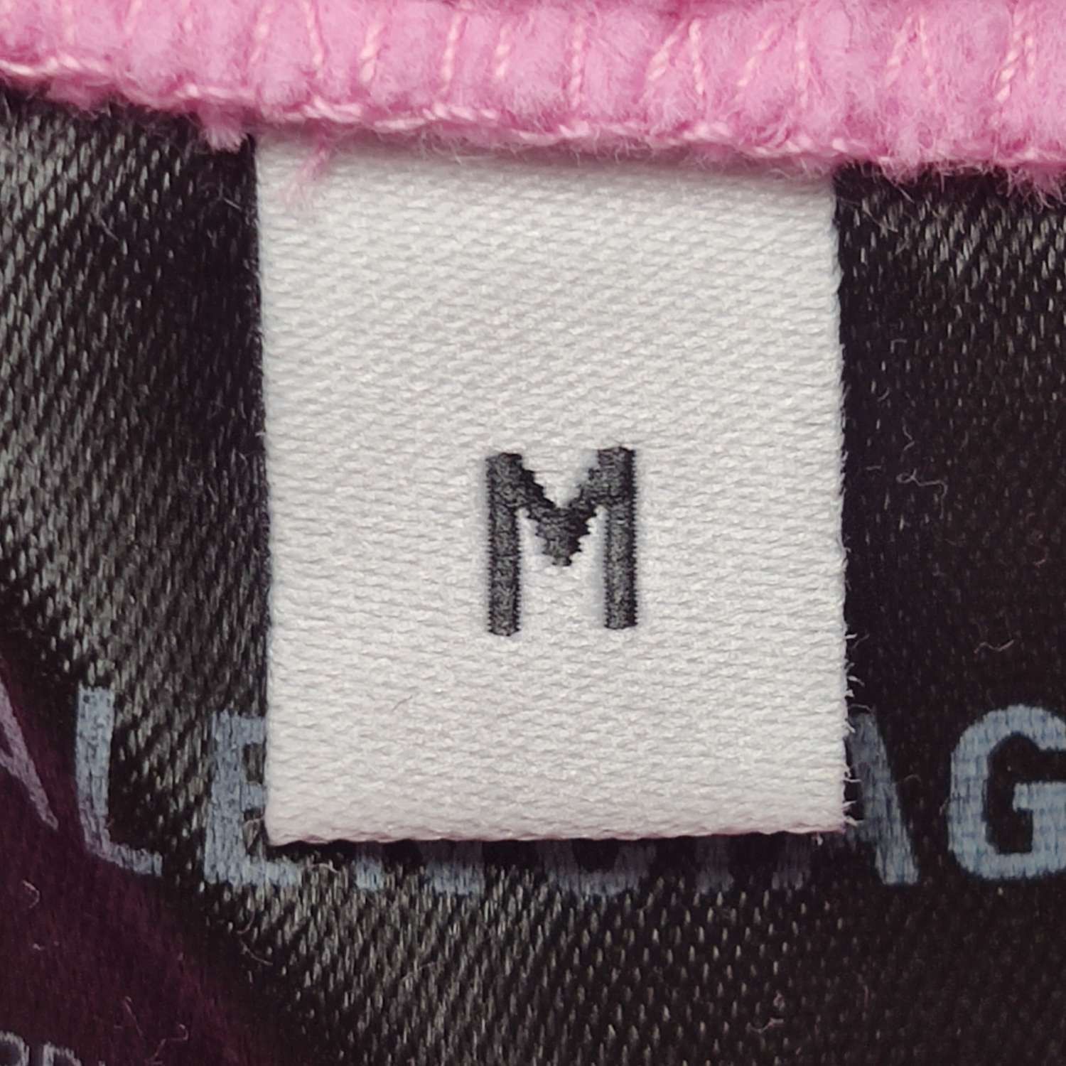Balenciaga Balenciaga Cotton Logo Hoodie M Pink Size US M / EU 48-50 / 2 - 11 Thumbnail