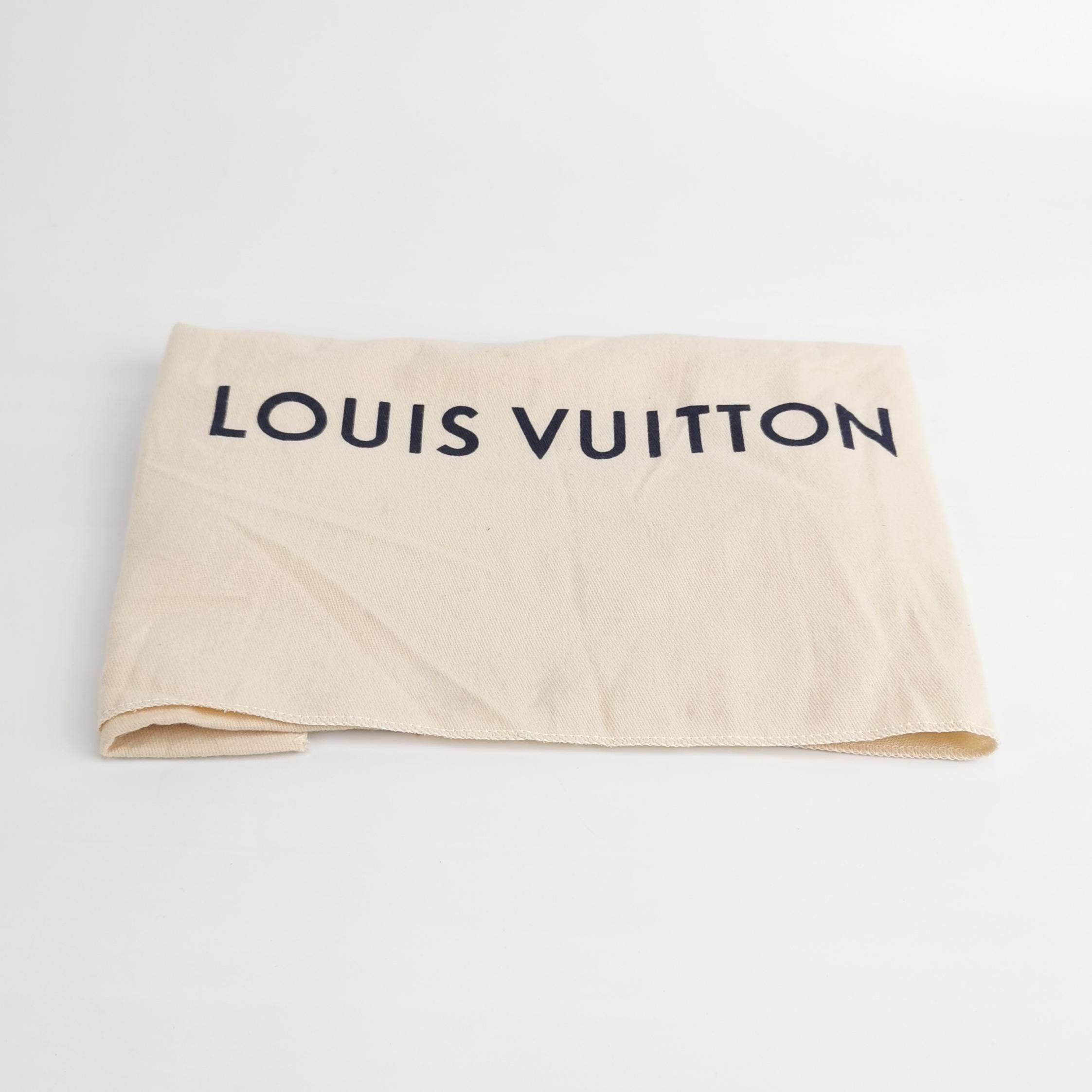 Louis Vuitton Louis Vuitton Outdoor Leather Zip Reporter Crossbody Size ONE SIZE - 18 Thumbnail