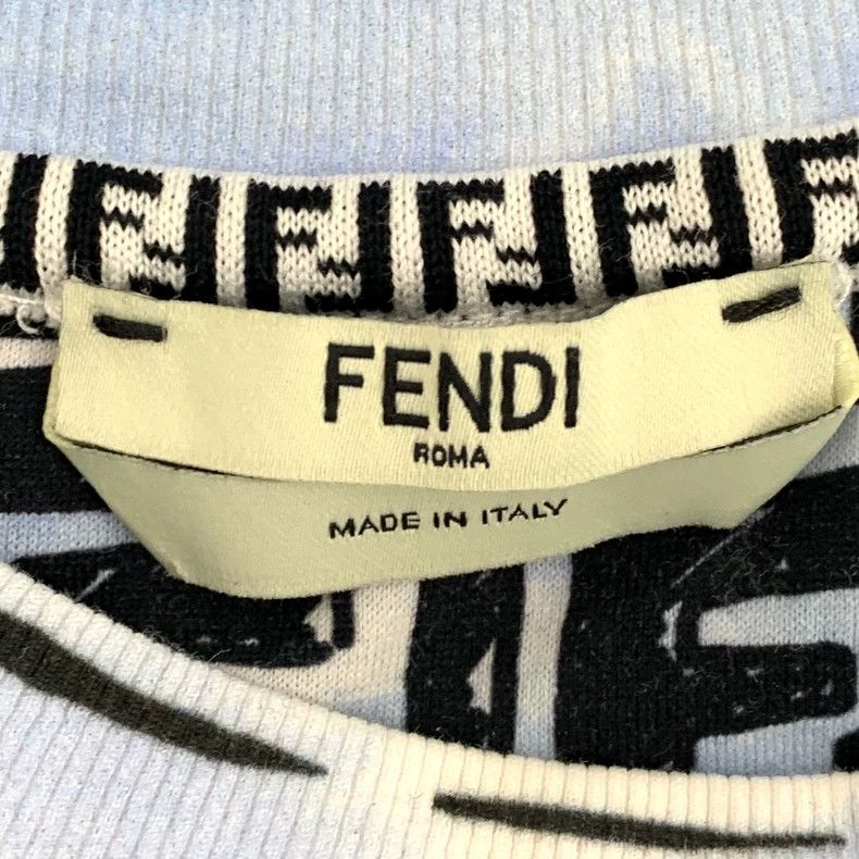 Fendi Fendi Blue Logo Stripe Cotton T-Shirt Size US M / EU 48-50 / 2 - 5 Thumbnail