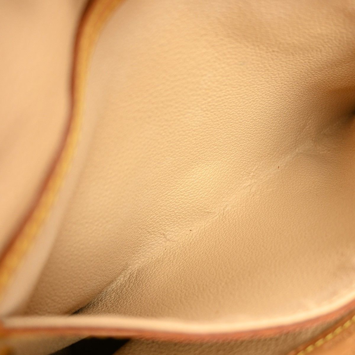 Louis Vuitton Louis Vuitton Petit Bucket Bag Monogram Canvas Size ONE SIZE - 10 Thumbnail
