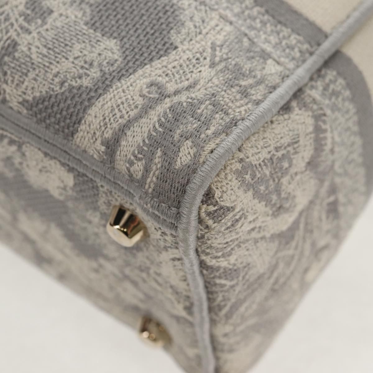 Dior Christian Dior Toile de Jouy Lady D-Lite Bag Embroidered Canvas Size ONE SIZE - 11 Thumbnail
