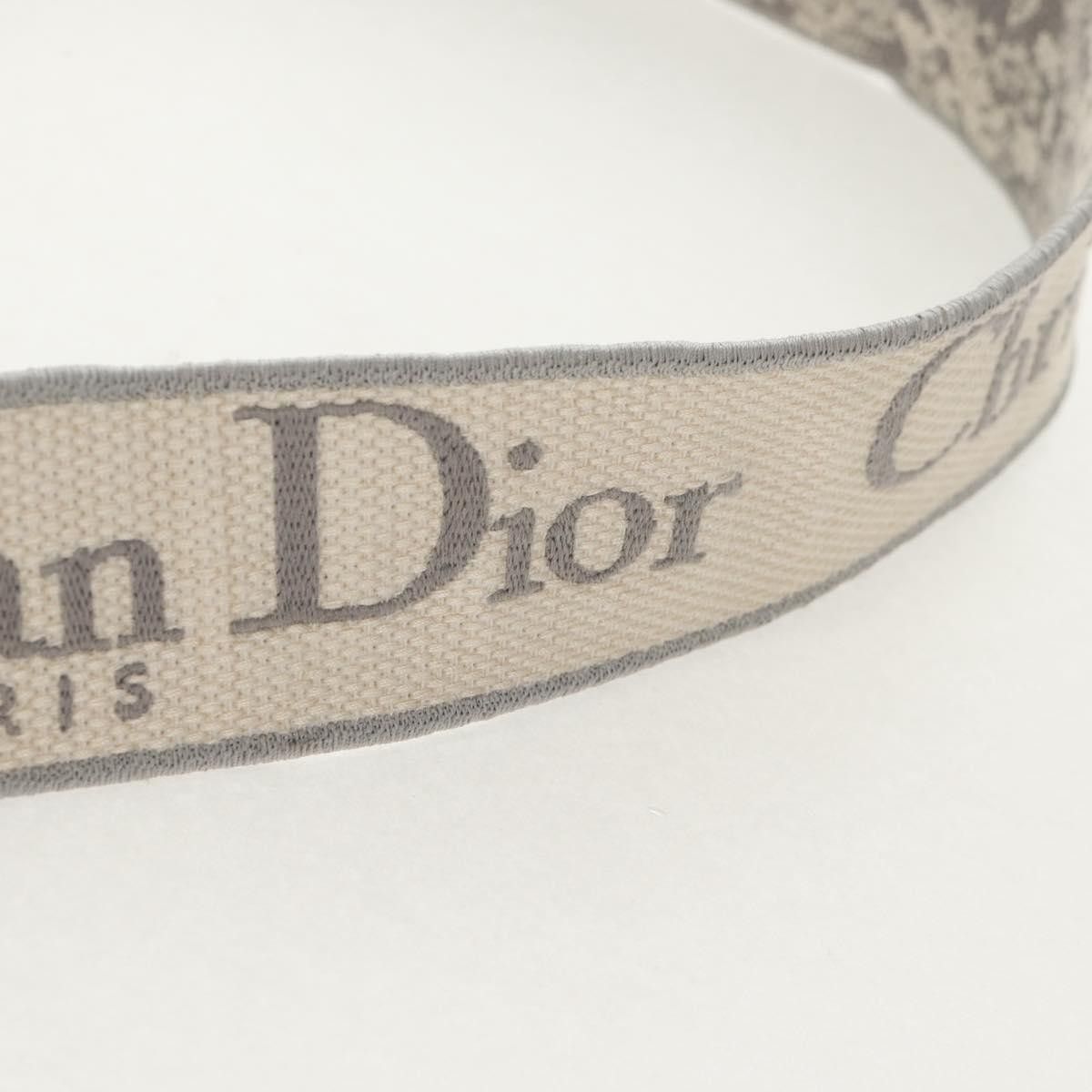 Dior Christian Dior Toile de Jouy Lady D-Lite Bag Embroidered Canvas Size ONE SIZE - 17 Thumbnail