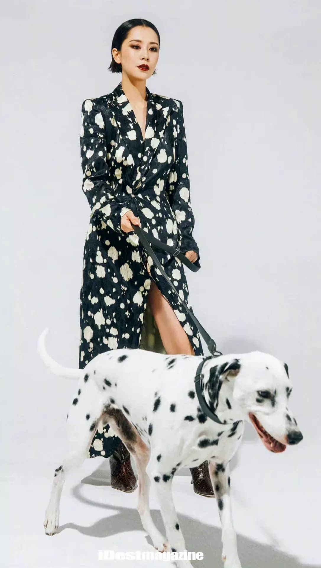 Dries Van Noten Dries Van Noten Animal Print Coat Size US S / EU 44-46 / 1 - 2 Thumbnail