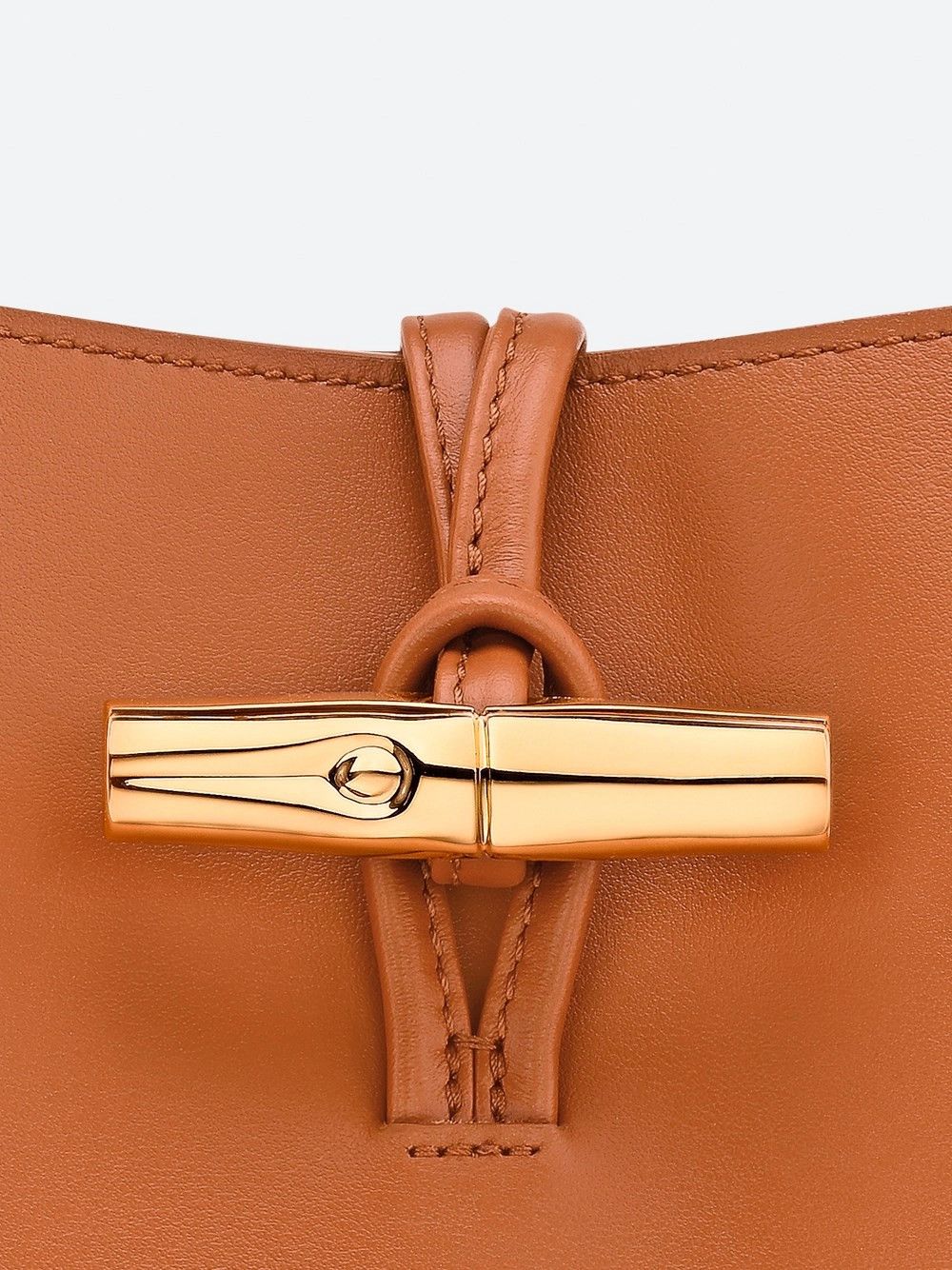 Longchamp `Le Roseau Sleek` Medium Hobo Bag Size ONE SIZE - 5 Thumbnail