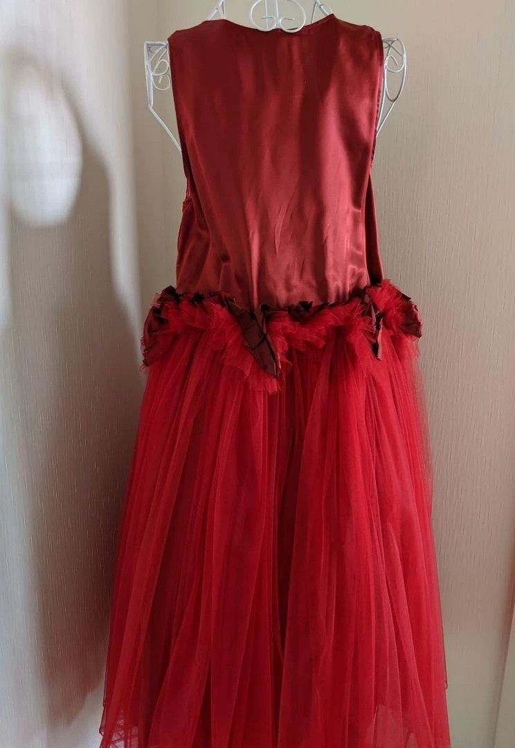 Comme des Garcons COMME des GARCONS Red Vintage Lace Dress Size US S / EU 44-46 / 1 - 3 Thumbnail
