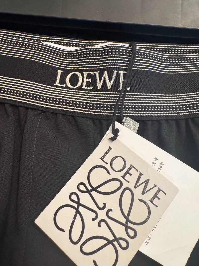 Loewe Loewe Logo Webbing Wide-Leg Pants S Size US 26 / EU 42 - 3 Thumbnail