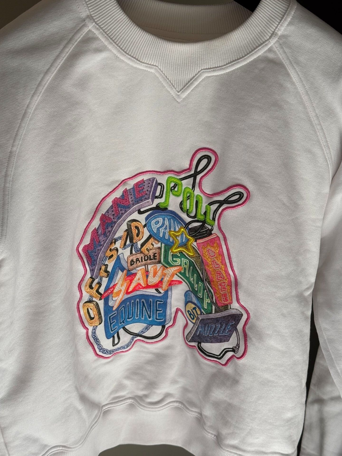 Hermes Hermes 2023 SS Graffiti Sweatshirt Size US XS / EU 42 / 0 - 2 Thumbnail