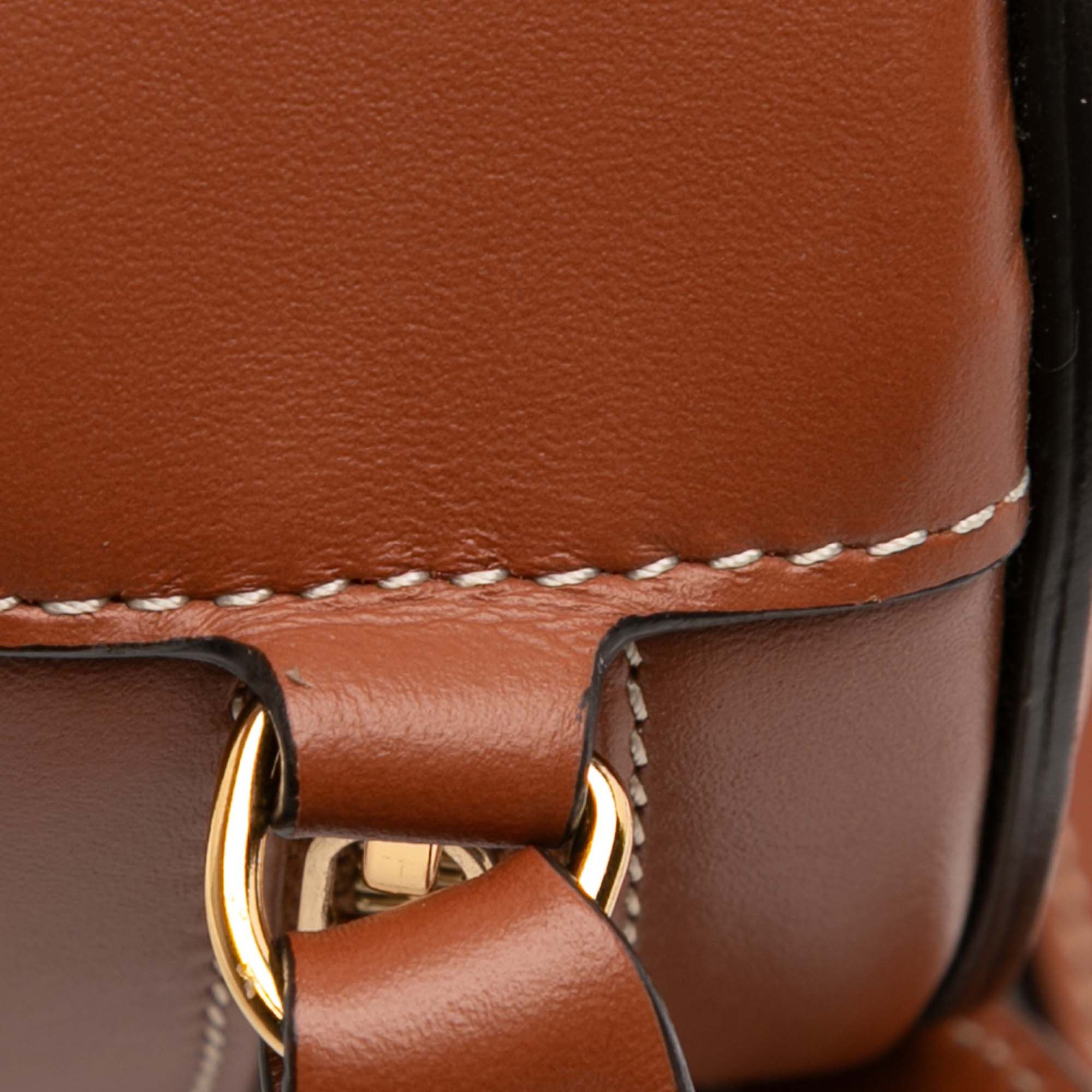 Celine Small Calfskin Cuir Triomphe Oval Crossbody