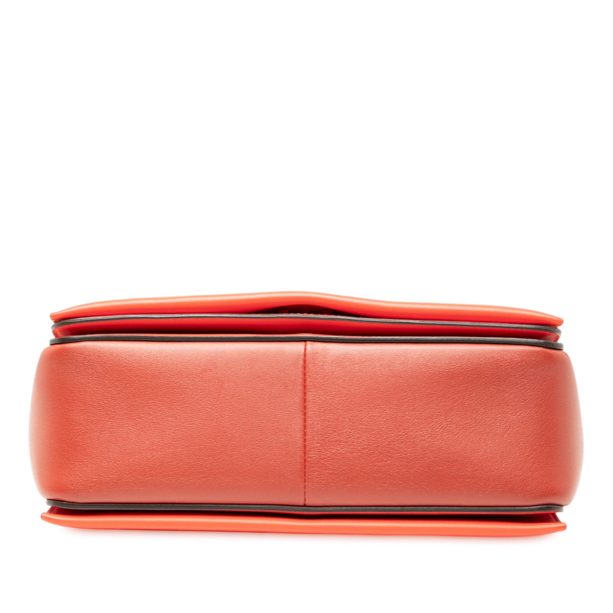 Celine Celine Leather Frame Shoulder Bag Size ONE SIZE - 3 Thumbnail