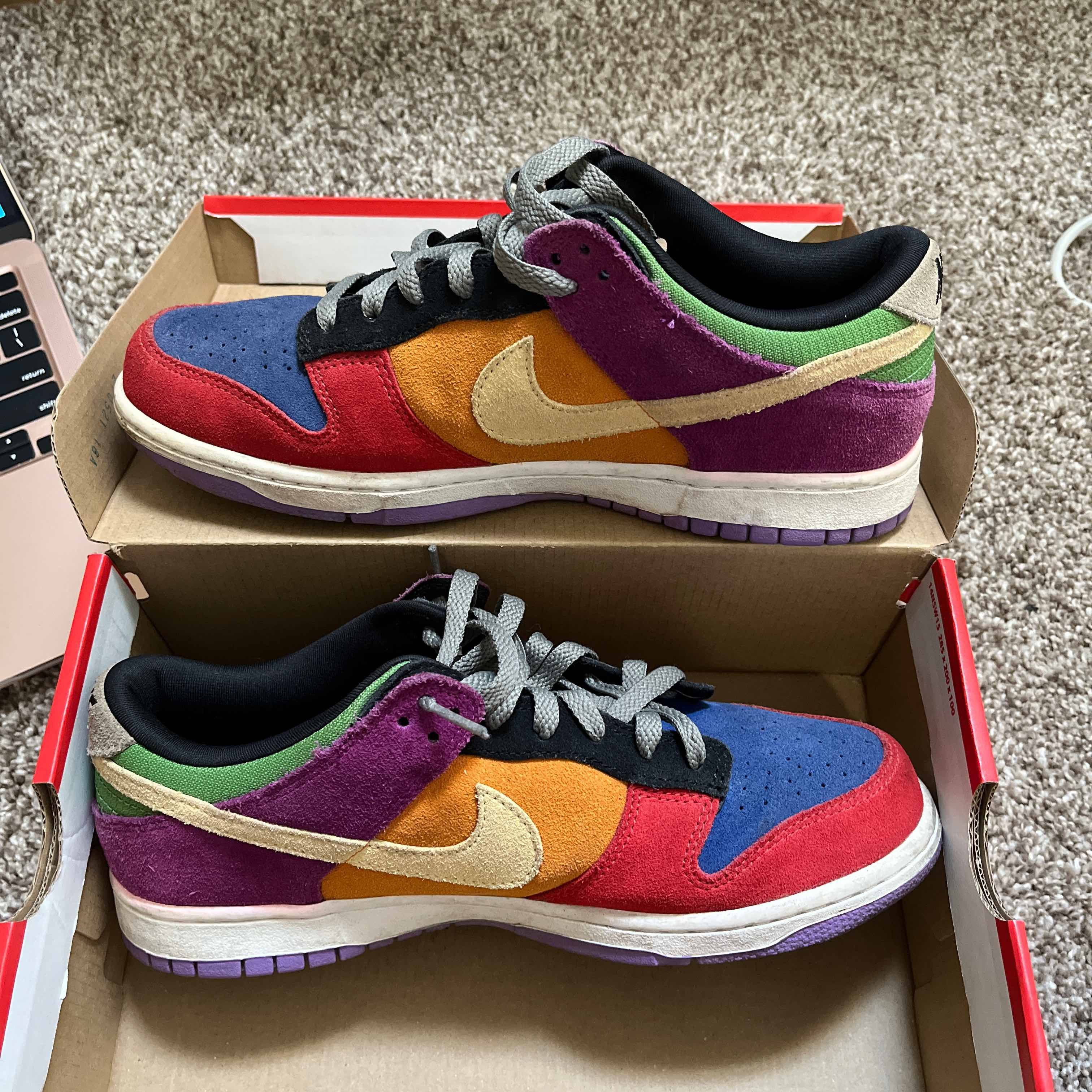 Nike Dunk Low SP Retro Viotech 2019