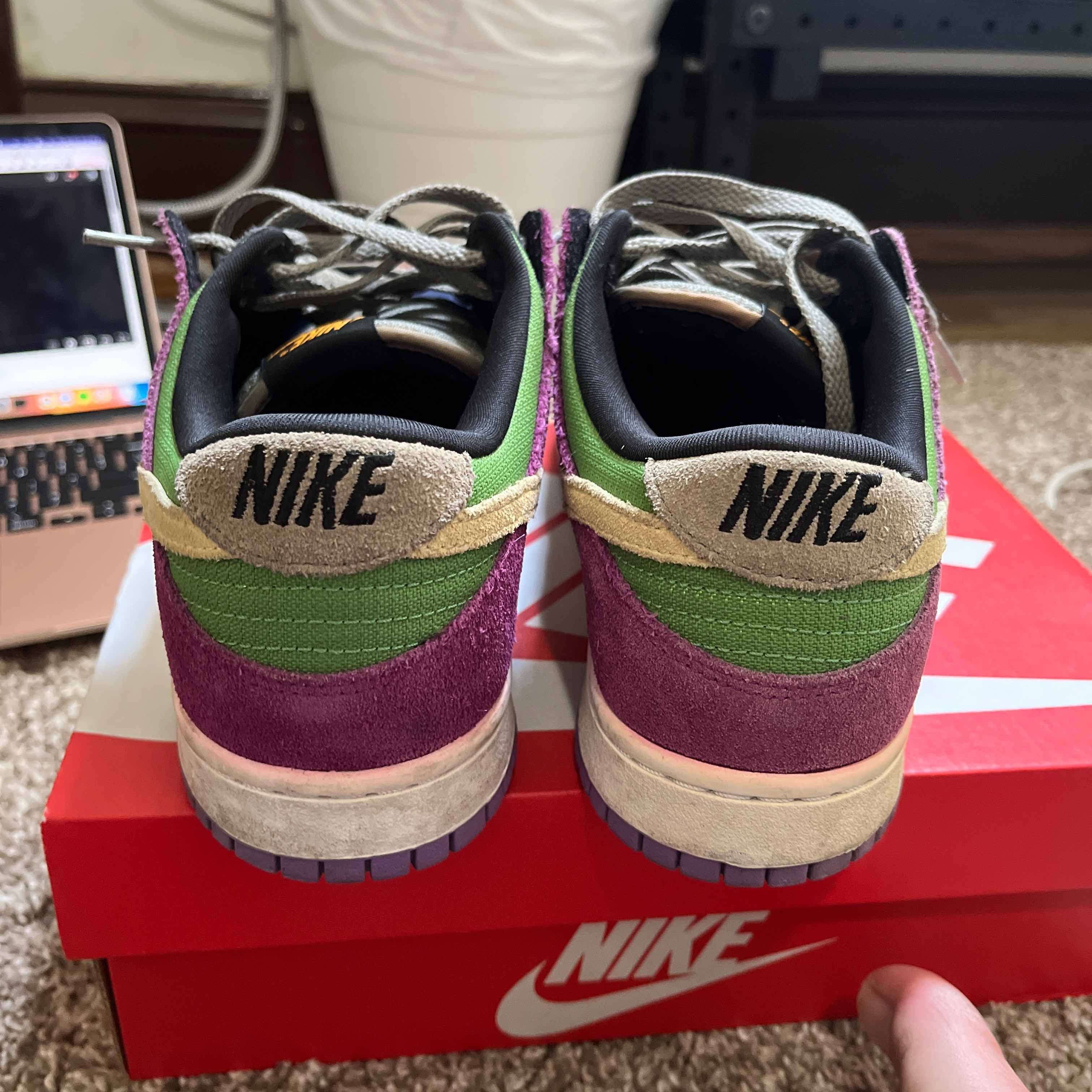 Nike Dunk Low SP Retro Viotech 2019
