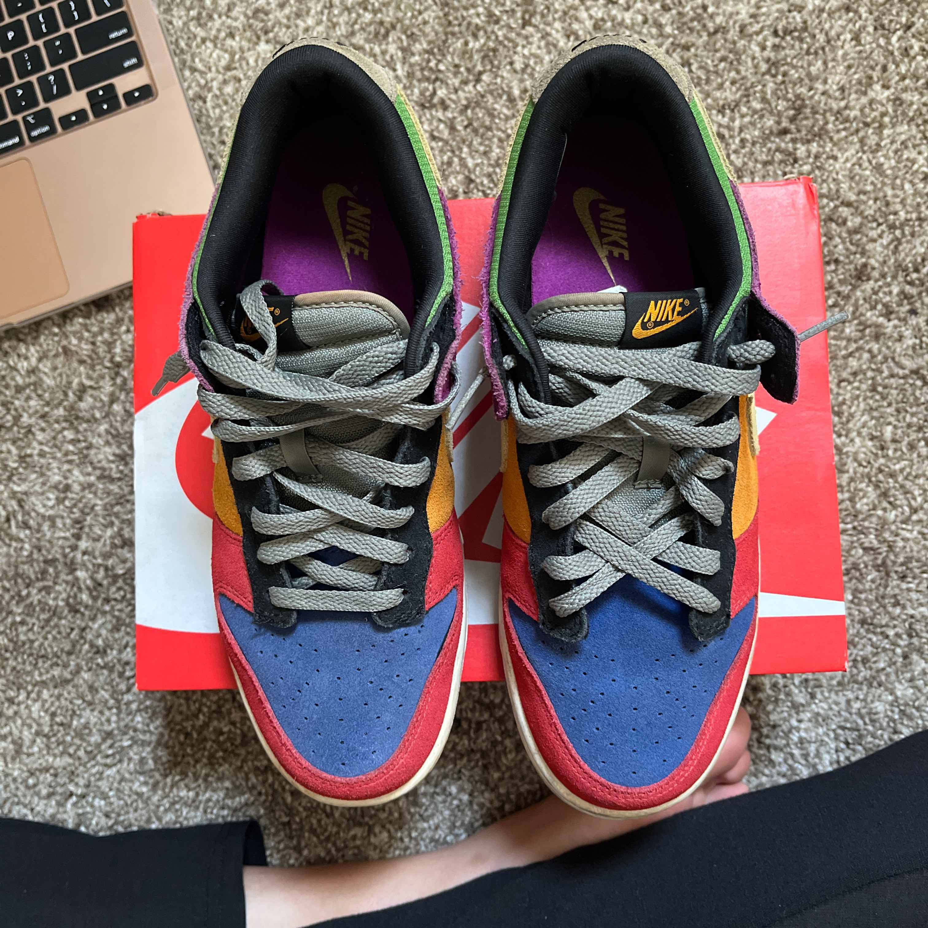 Nike Dunk Low SP Retro Viotech 2019