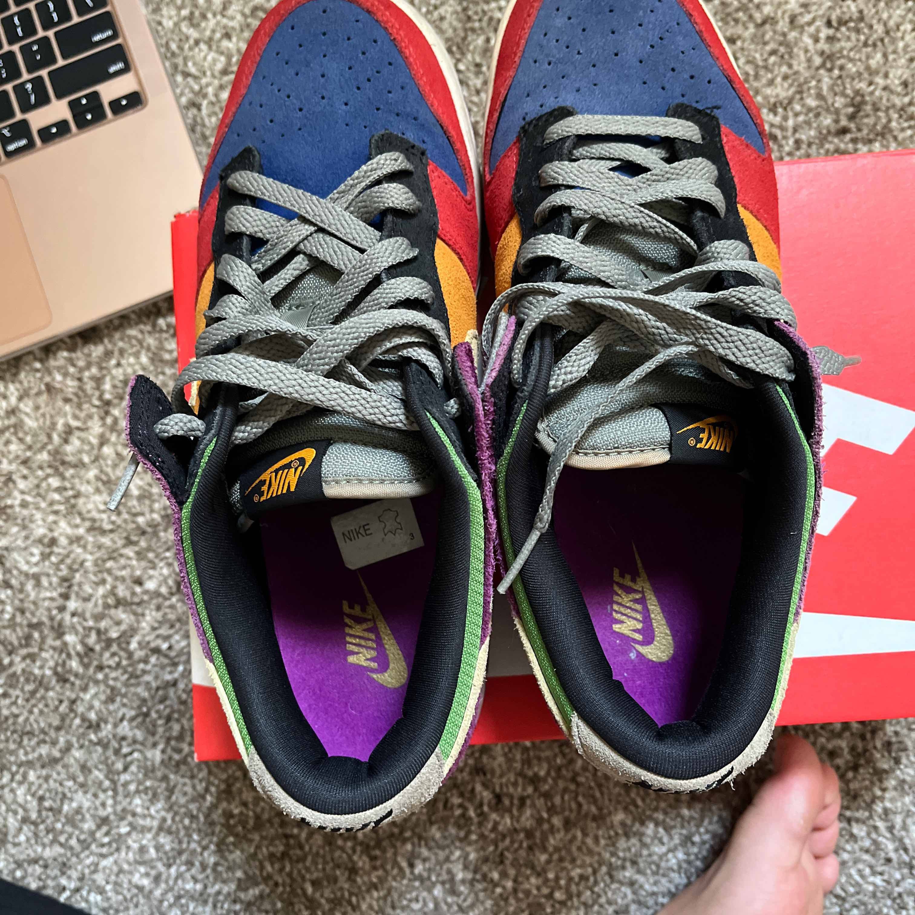 Nike Dunk Low SP Retro Viotech 2019