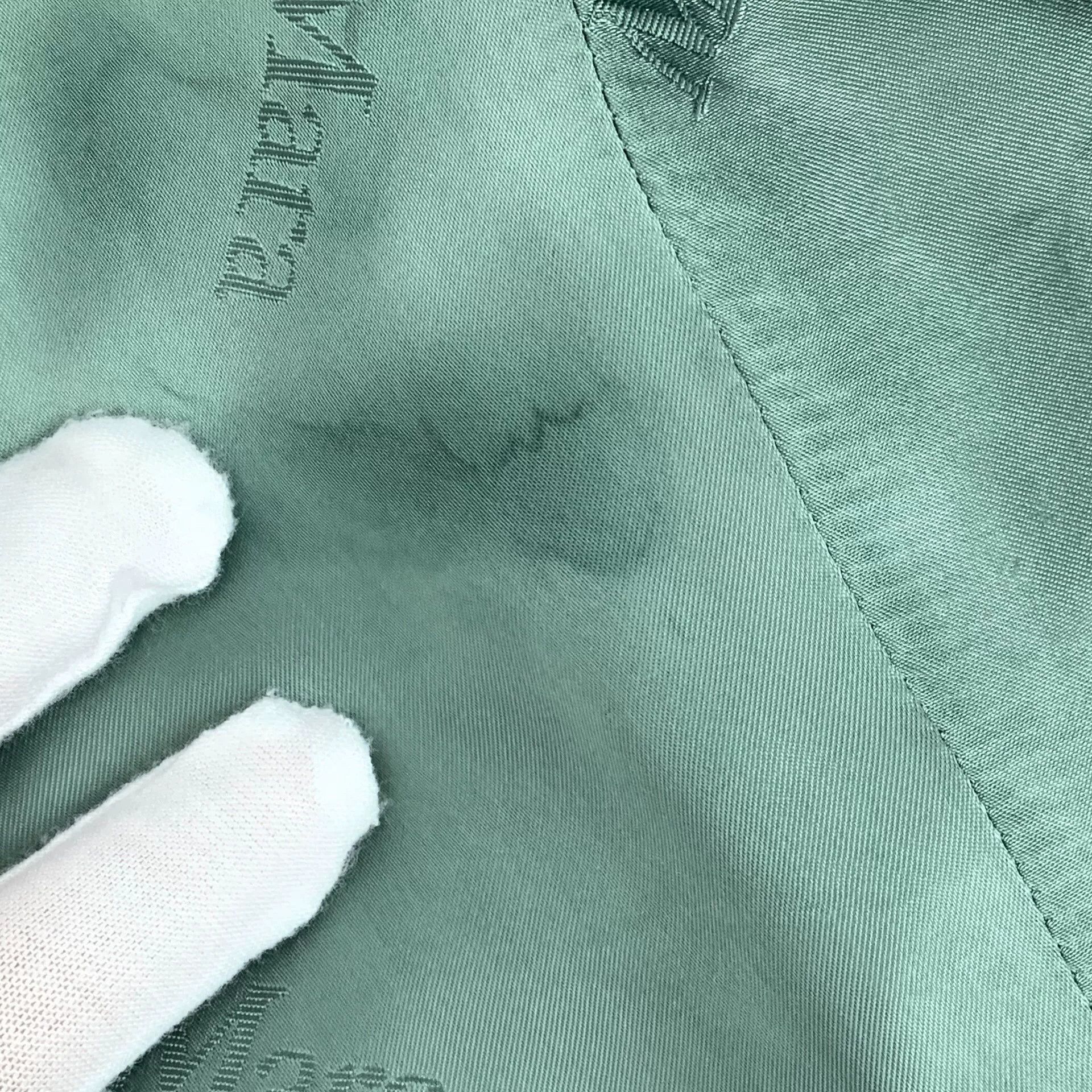 Max Mara maxmara teddy green double-breasted coat Size US XS / EU 42 / 0 - 7 Thumbnail