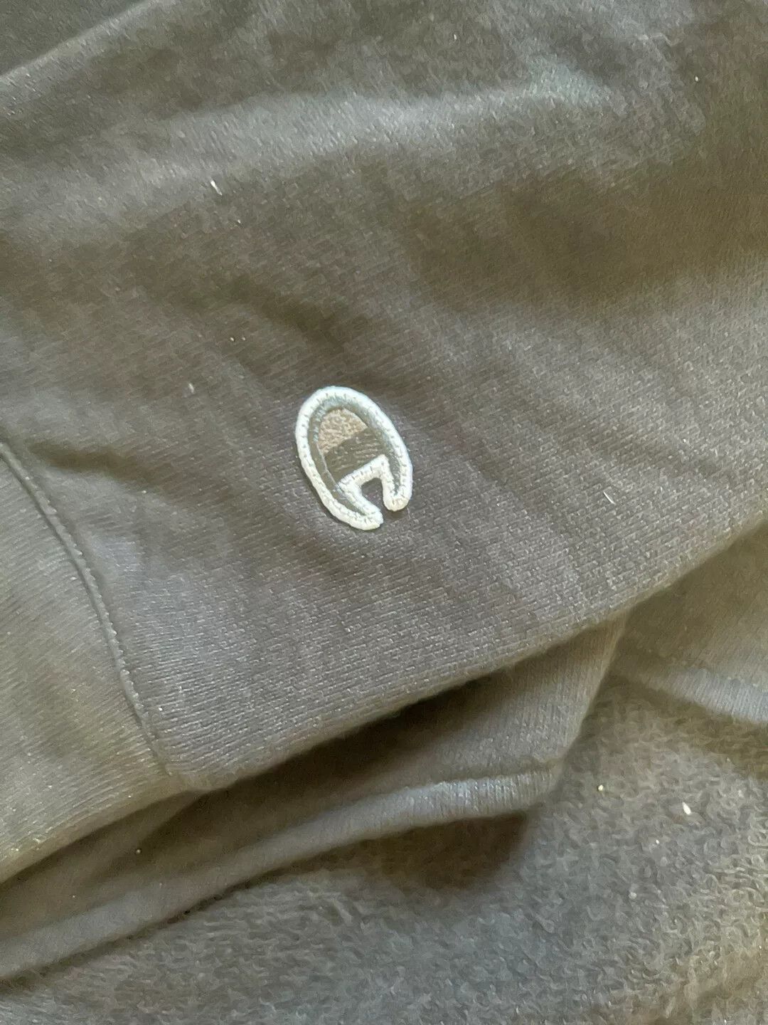 Rick Owens Rick Owens X Champion Embroidered Pullover Sweatshirt Size US M / EU 48-50 / 2 - 4 Thumbnail