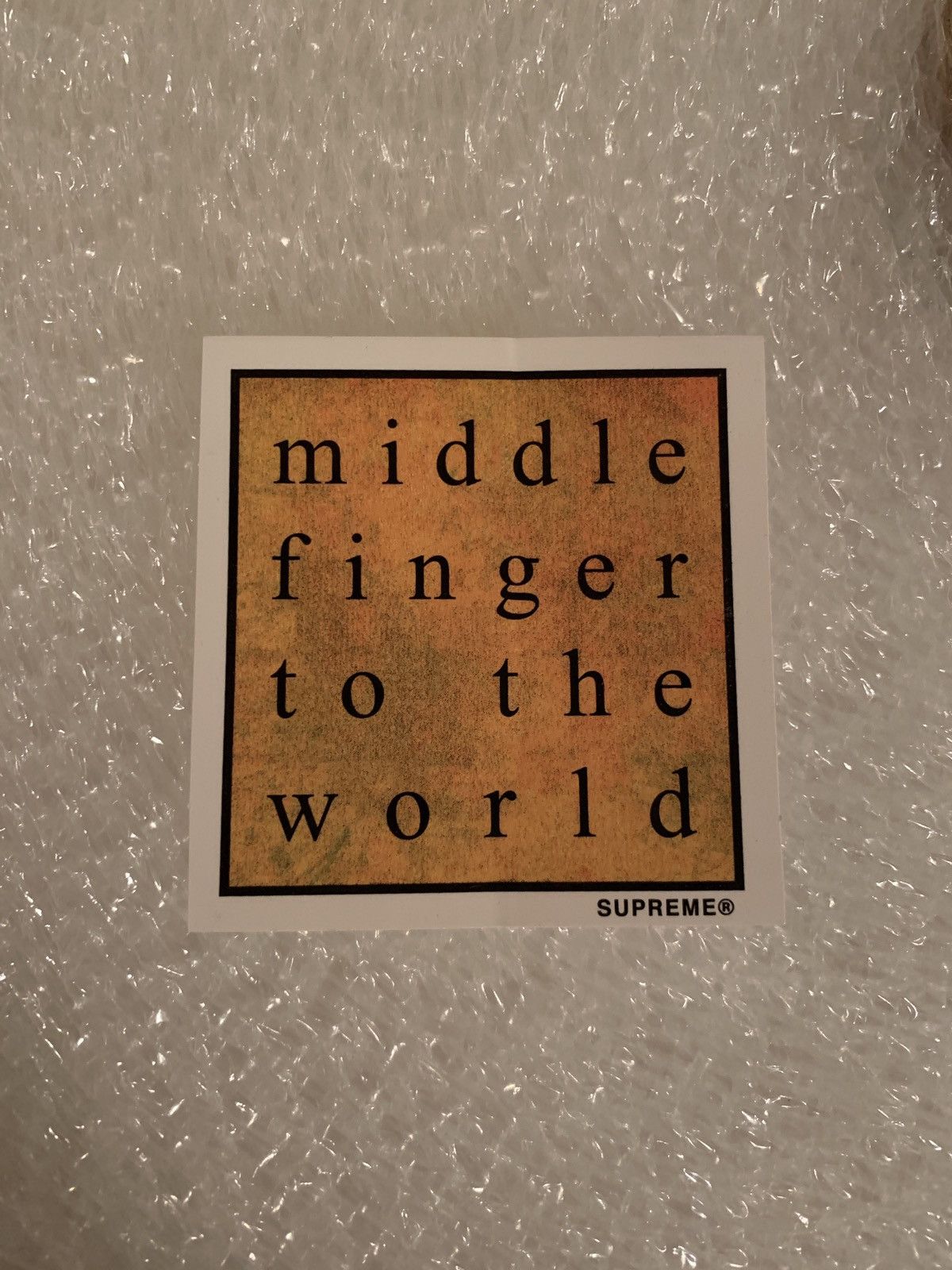 middle finger to the world supreme The Best International Exporter of Fresh Indian Grapes and Produce
