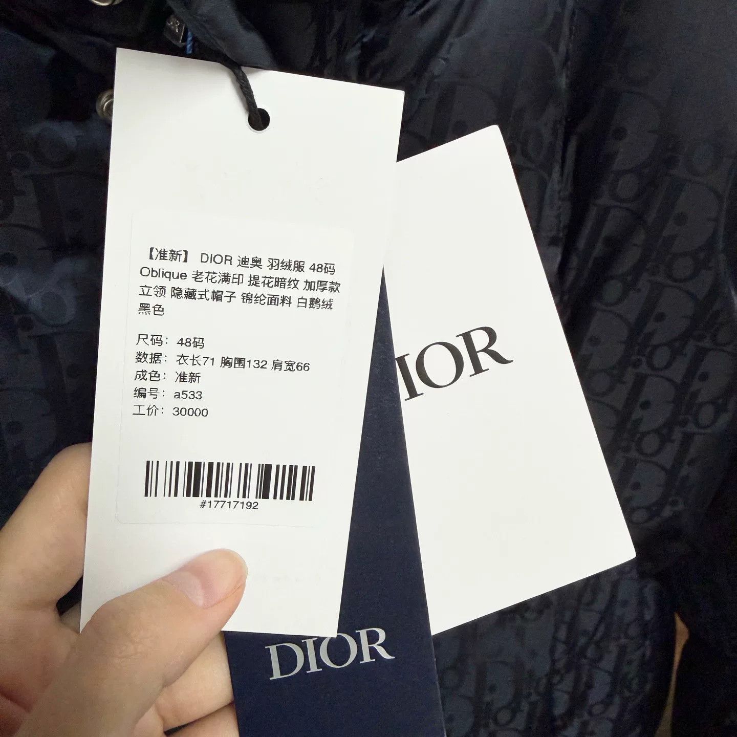 Dior dior oblique black down jacket size 48 Size US L / EU 52-54 / 3 - 5 Thumbnail