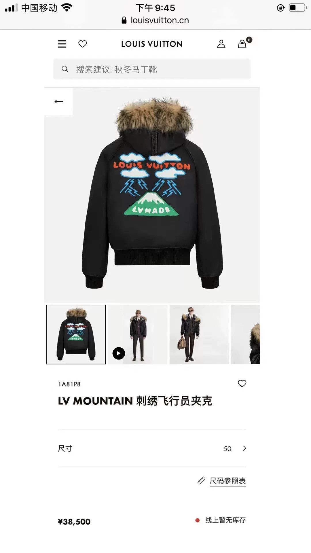 Nigo louis vuitton mountain graphic cotton jacket Size US L / EU 52-54 / 3 - 7 Thumbnail
