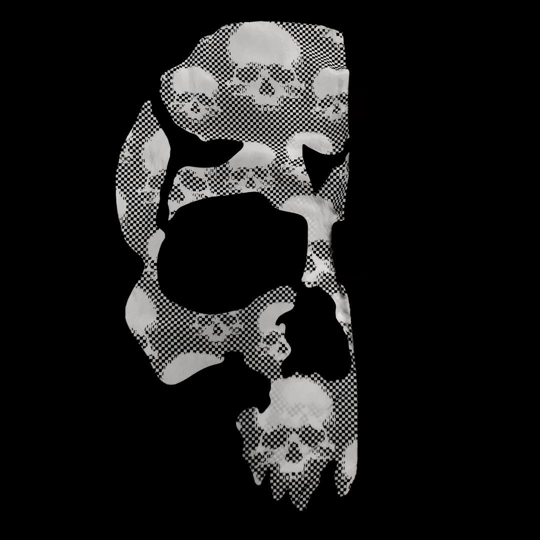 Comme des Garcons comme des garcons skull jacket 2011 Size US XS / EU 42 / 0 - 6 Thumbnail