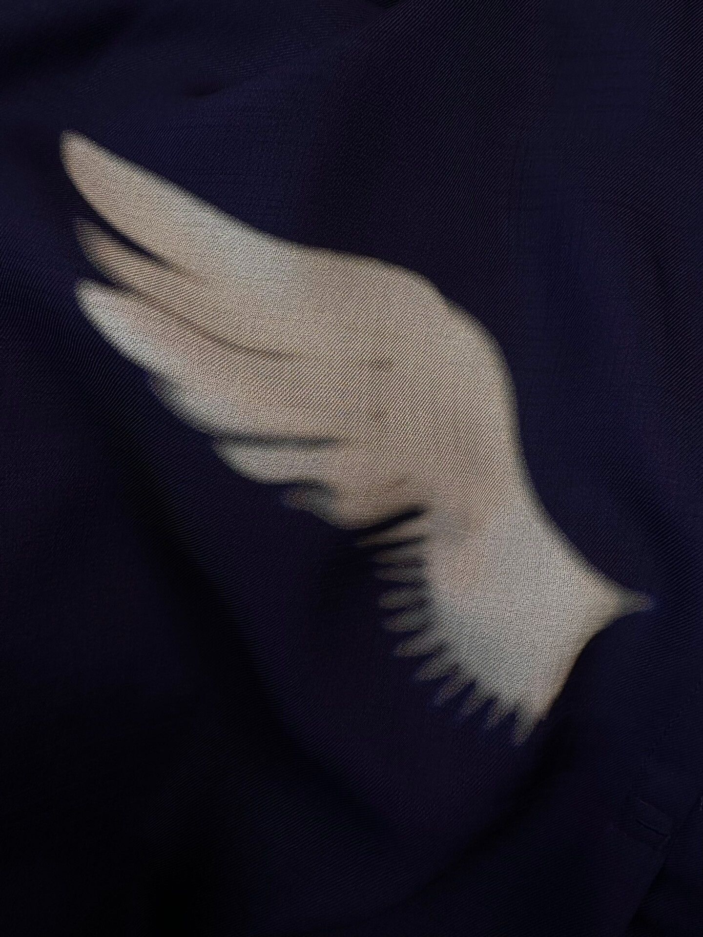 Yohji Yamamoto yohji yamamoto wings design outerwear jacket Size US M / EU 48-50 / 2 - 4 Thumbnail