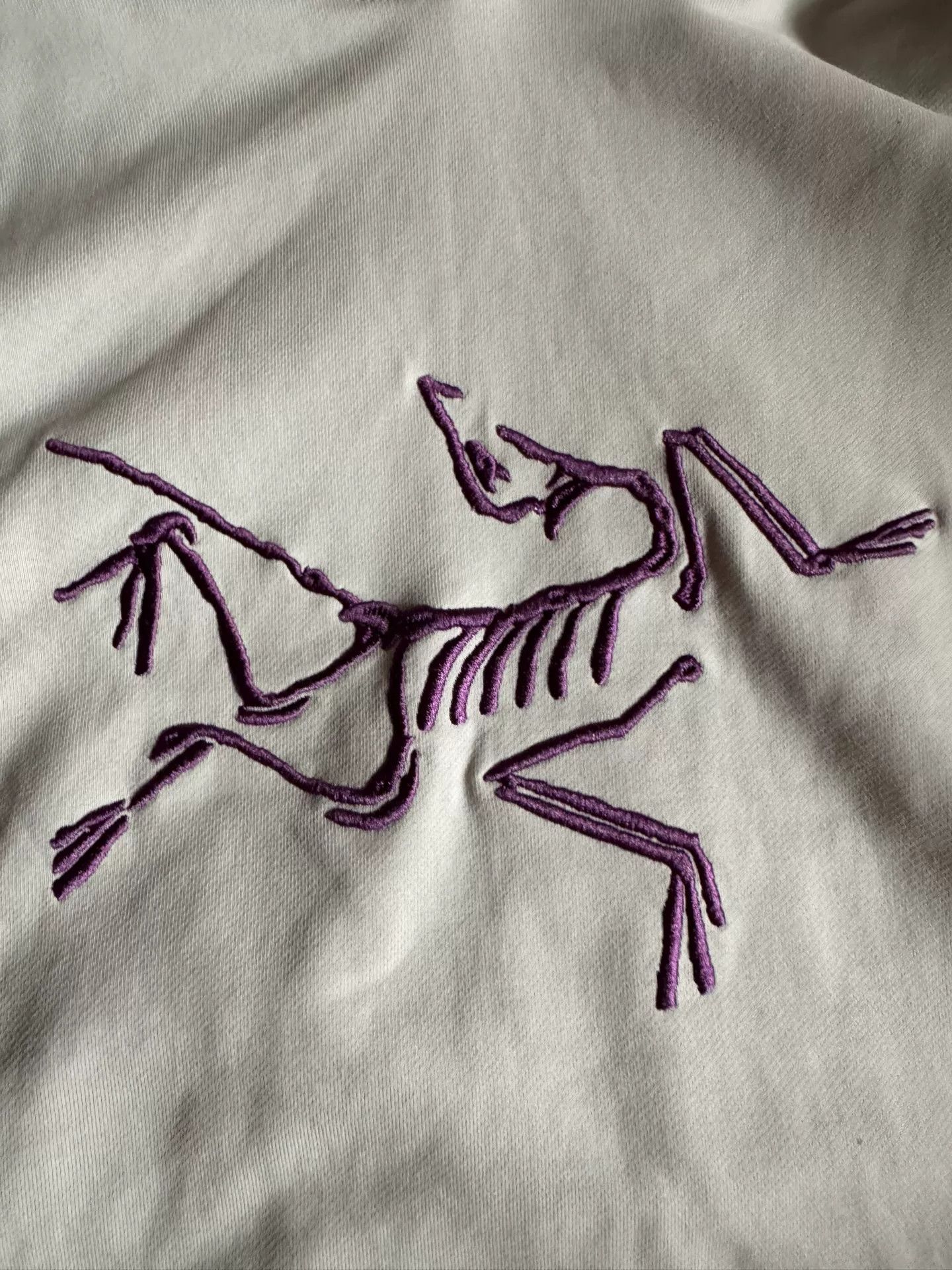 Arc'teryx arcteryx palace logo print hooded sweatshirt Size US M / EU 48-50 / 2 - 2 Thumbnail