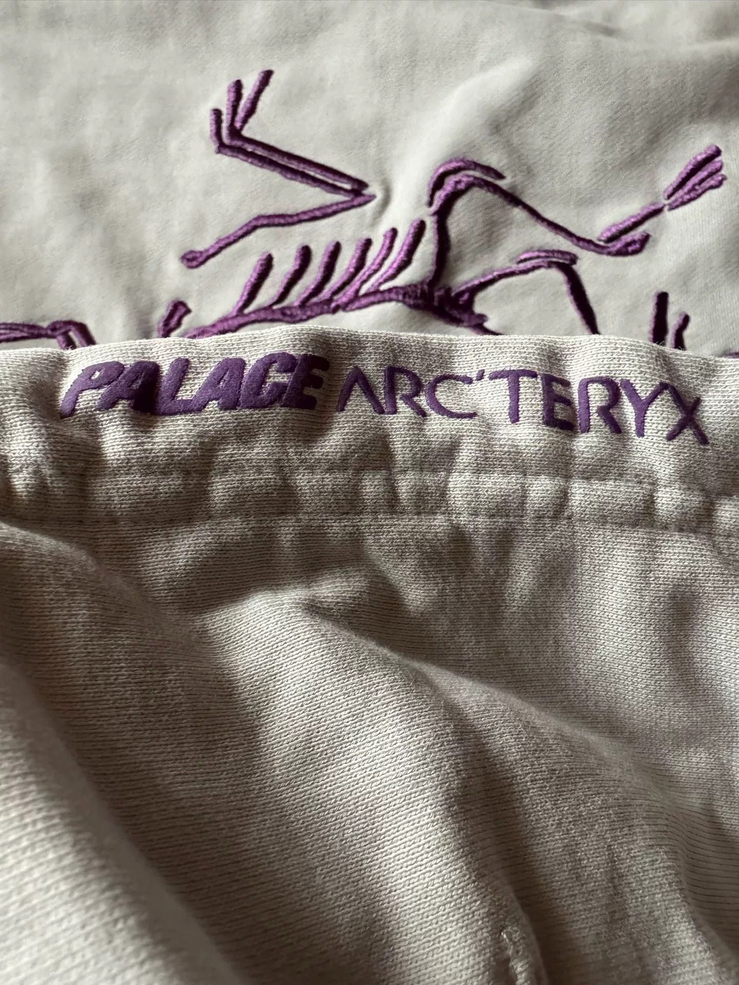 Arc'teryx arcteryx palace logo print hooded sweatshirt Size US M / EU 48-50 / 2 - 4 Thumbnail