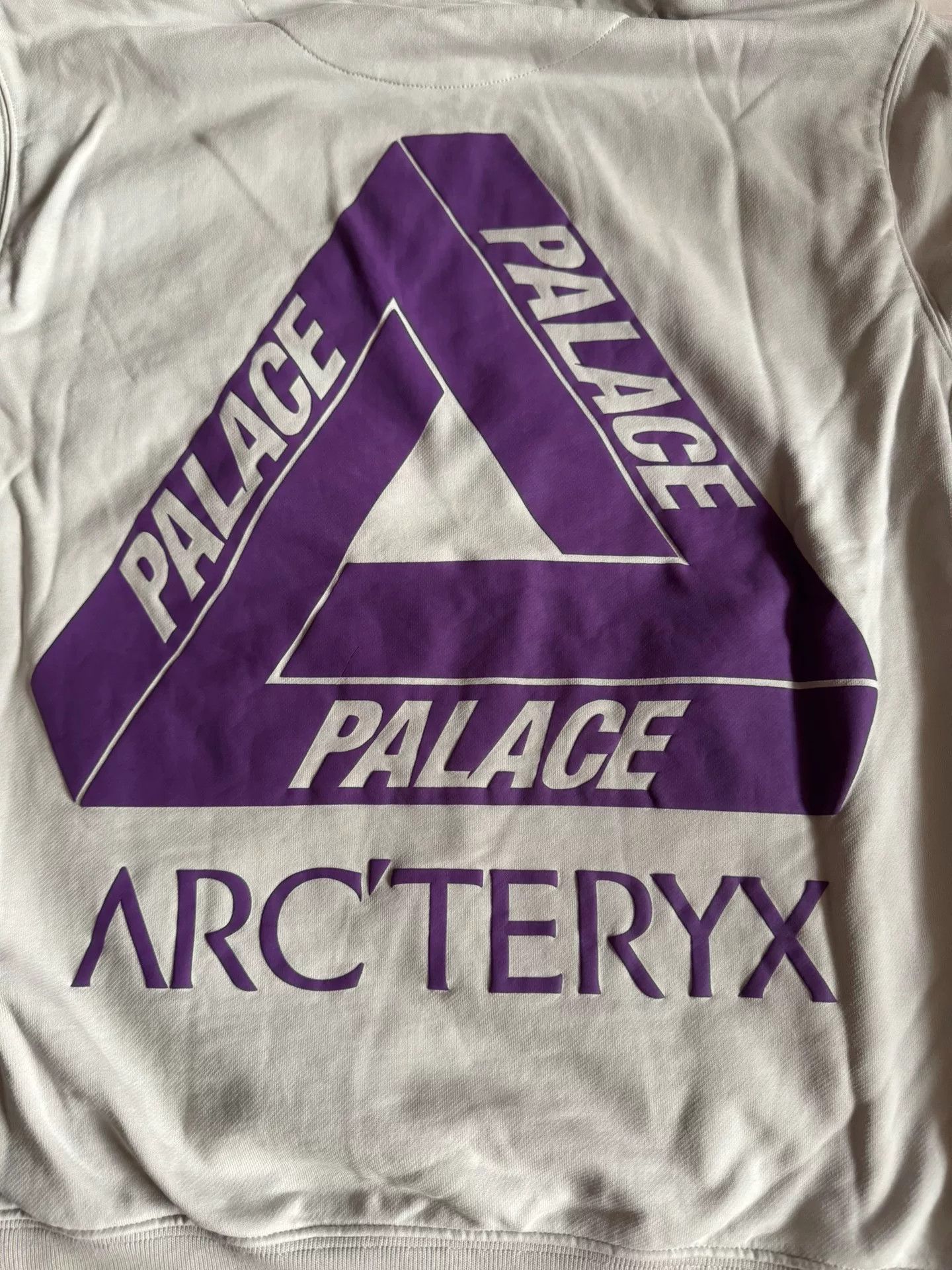Arc'teryx arcteryx palace logo print hooded sweatshirt Size US M / EU 48-50 / 2 - 7 Thumbnail
