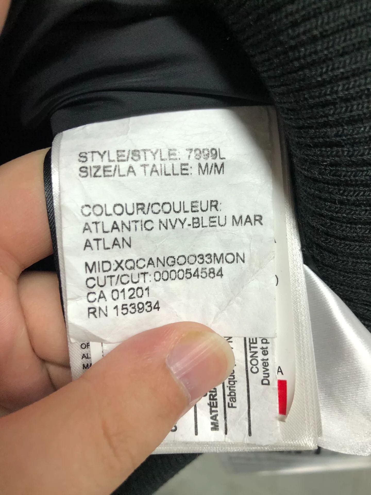Canada Goose canada goose blue hooded down jacket Size US M / EU 48-50 / 2 - 4 Thumbnail