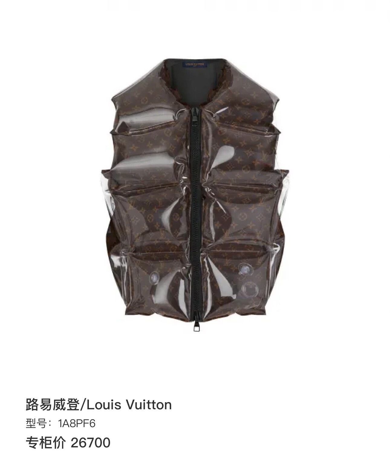 Louis Vuitton louis vuitton inflatable vest with monogram print Size US L / EU 52-54 / 3 - 7 Thumbnail