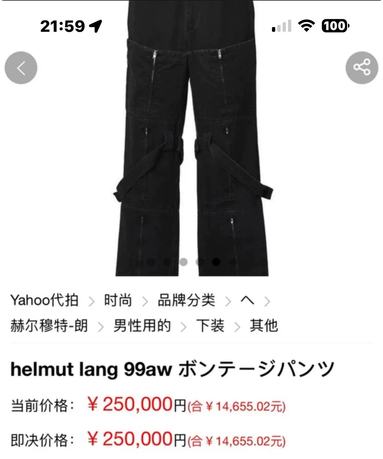 Helmut Lang bondage pants with zippers and straps Size US 30 / EU 46 - 3 Thumbnail
