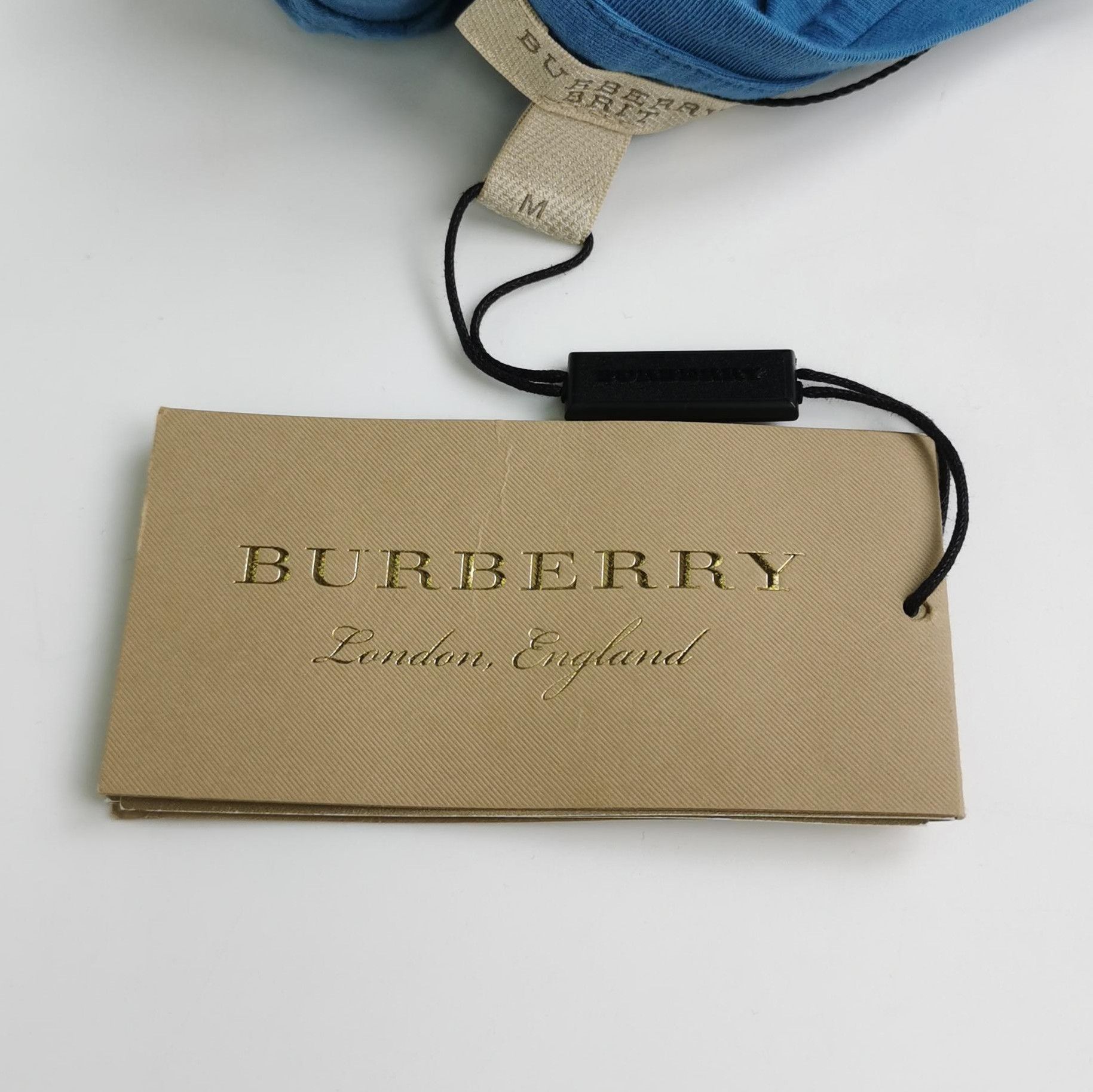 Burberry Burberry Brit Cotton Color-Blocked T-Shirt 0079 Size US M / EU 48-50 / 2 - 3 Thumbnail
