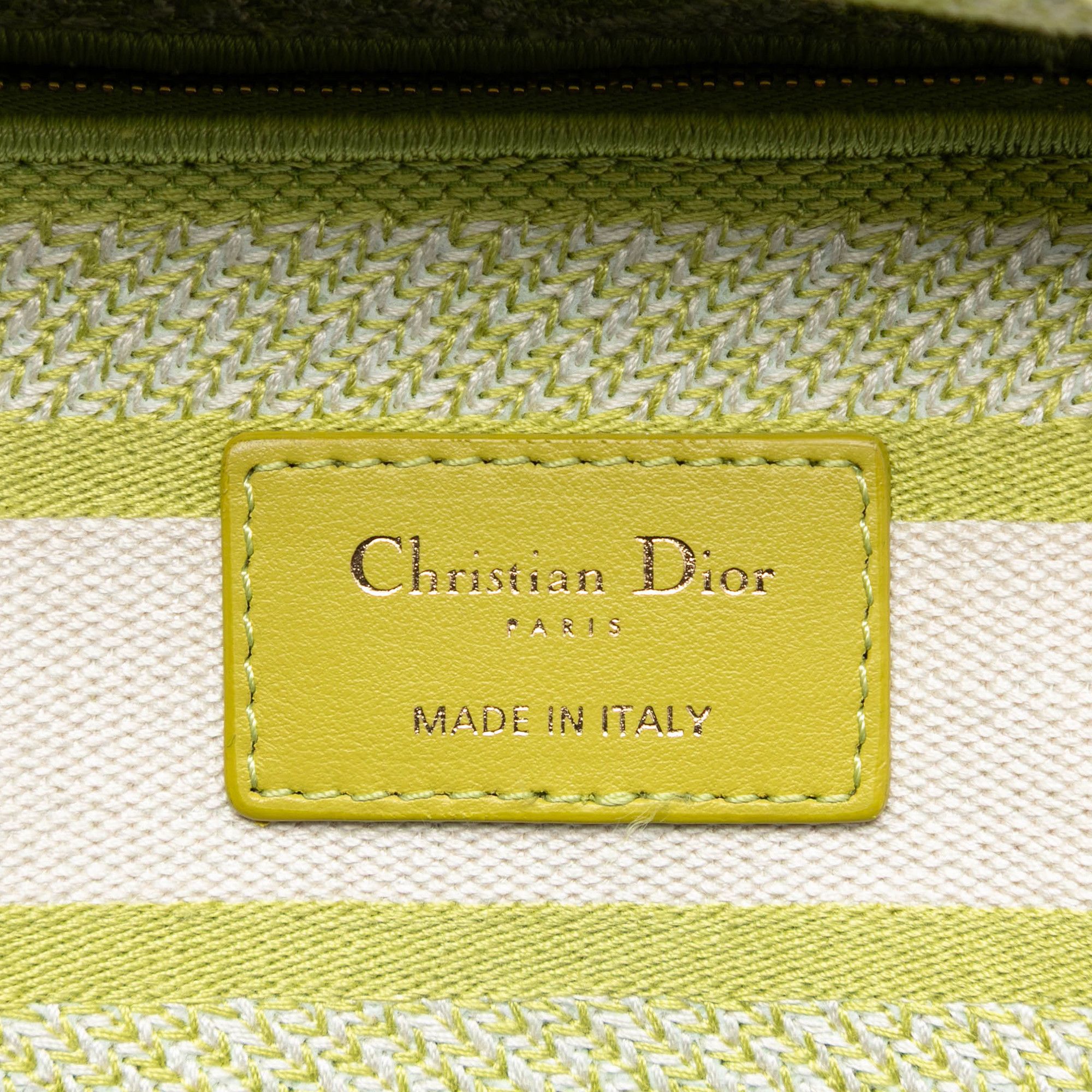 Dior Dior Medium Embroidered Canvas Toile de Jouy Lady D Lite Size ONE SIZE - 5 Thumbnail