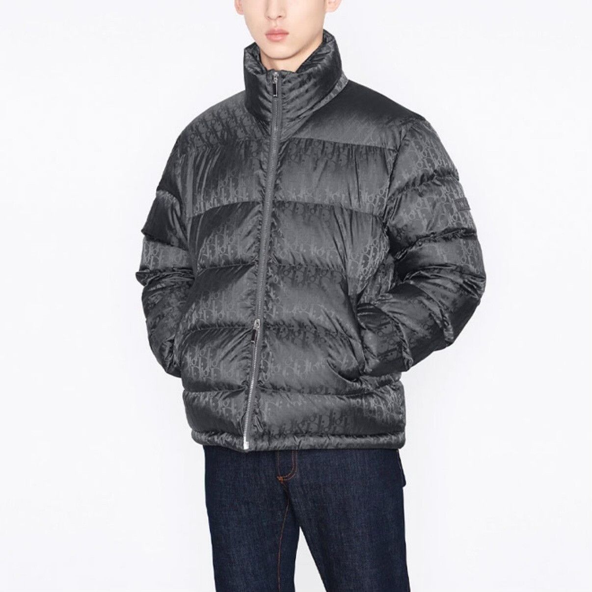 Dior dior gray puffer jacket size 46 Size US L / EU 52-54 / 3 - 8 Thumbnail