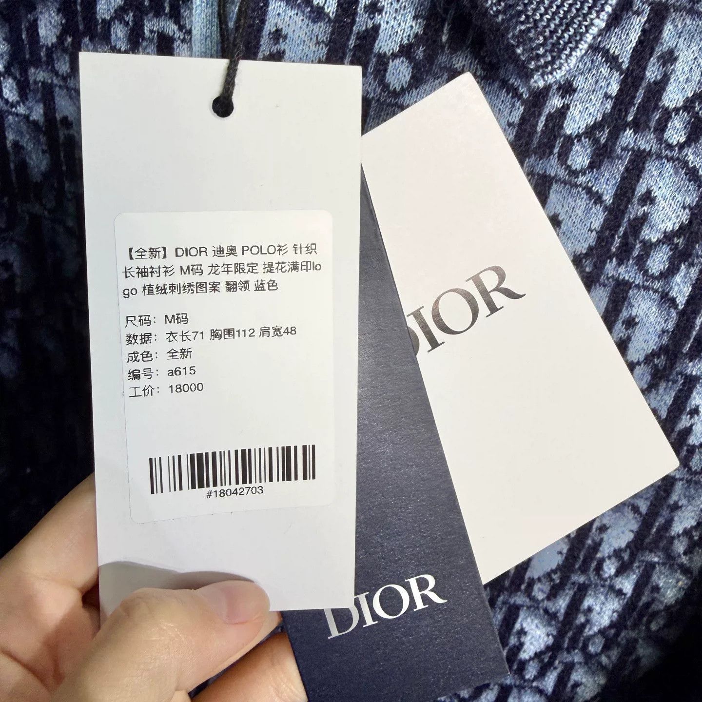 Dior dior long sleeve polo shirt limited edition Size US M / EU 48-50 / 2 - 5 Thumbnail