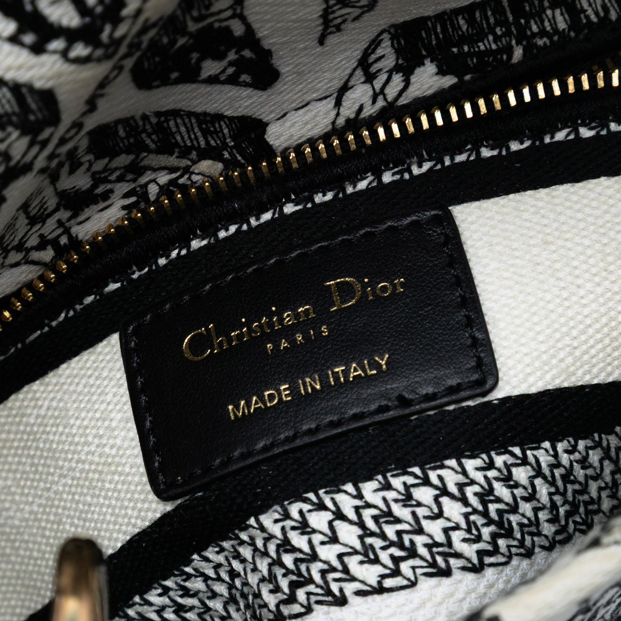 Dior Dior Mini Embroidered Canvas Plan de Paris Lady D Lite Size ONE SIZE - 5 Thumbnail
