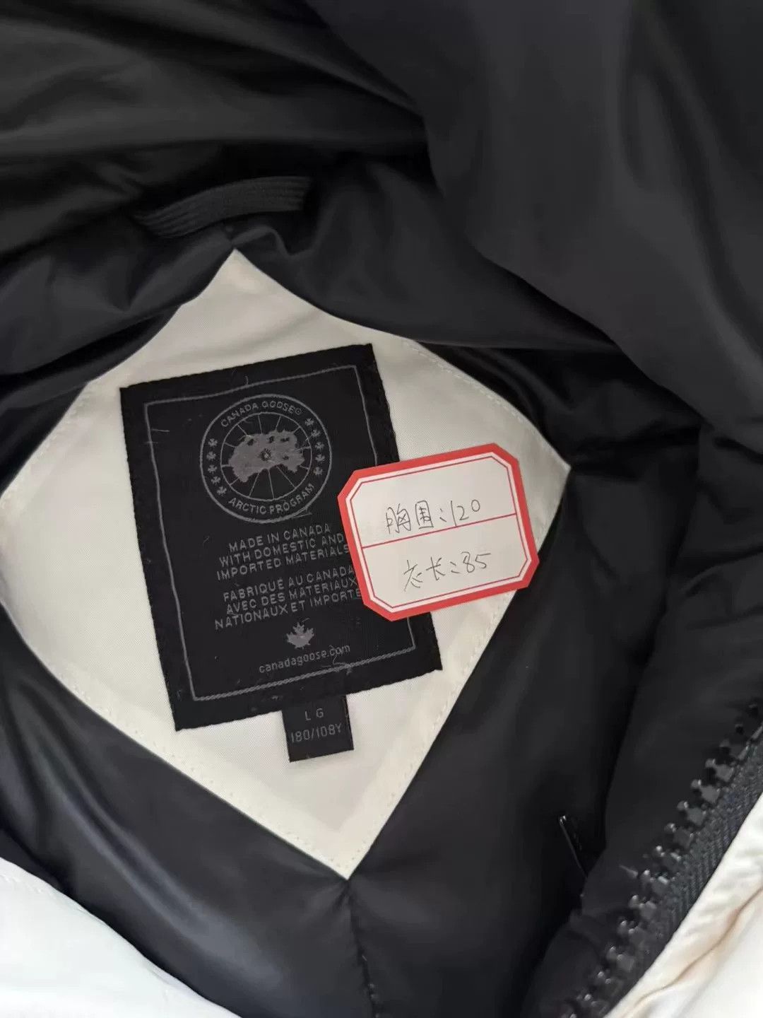 Canada Goose Canada Goose Chateau Parka Down Coat Size US L / EU 52-54 / 3 - 6 Thumbnail