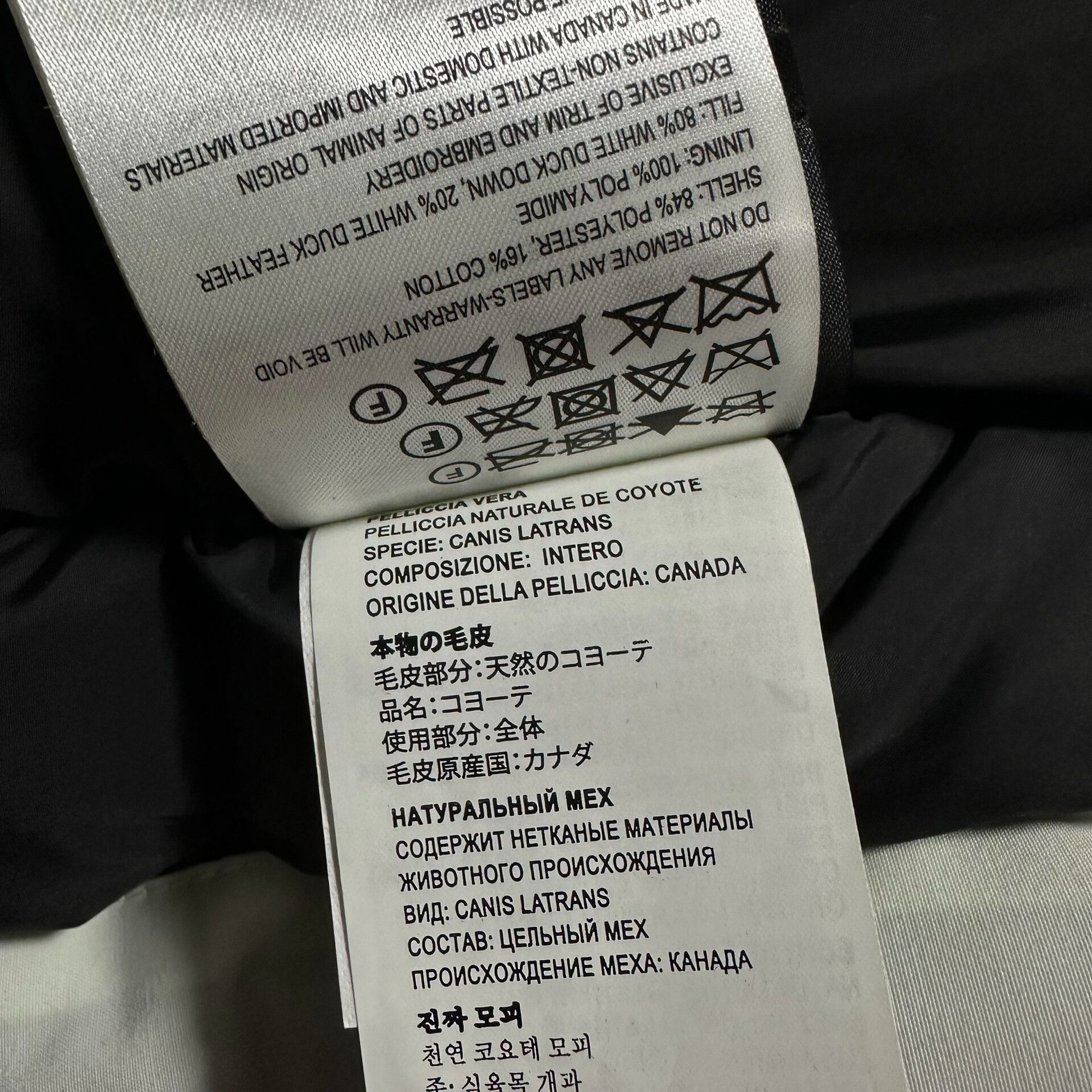Canada Goose canada goose expedition fusion fit long parka Size US L / EU 52-54 / 3 - 8 Thumbnail