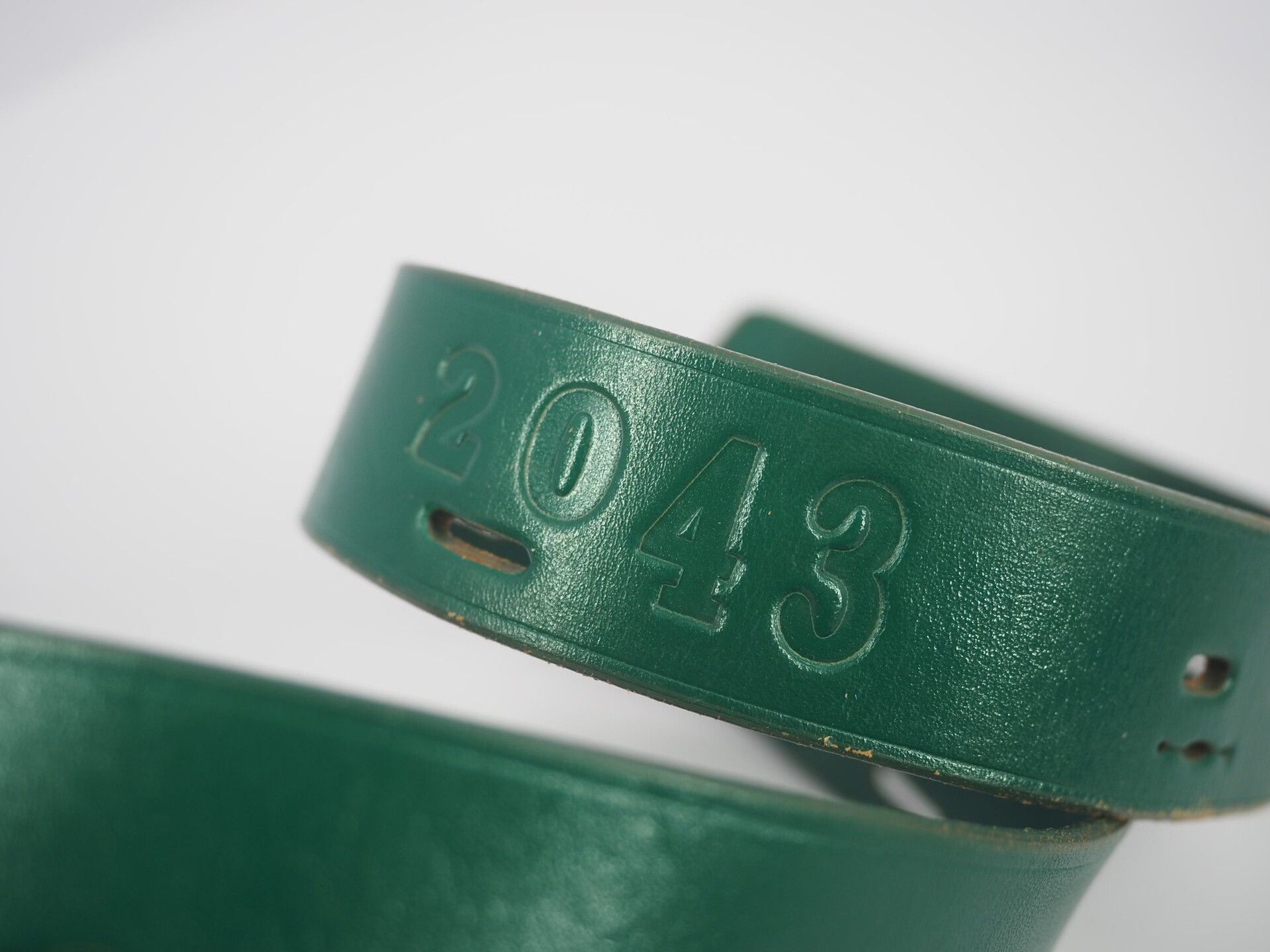 Yohji Yamamoto Yohji Yamamoto Green Archive Belt Size ONE SIZE - 5 Thumbnail