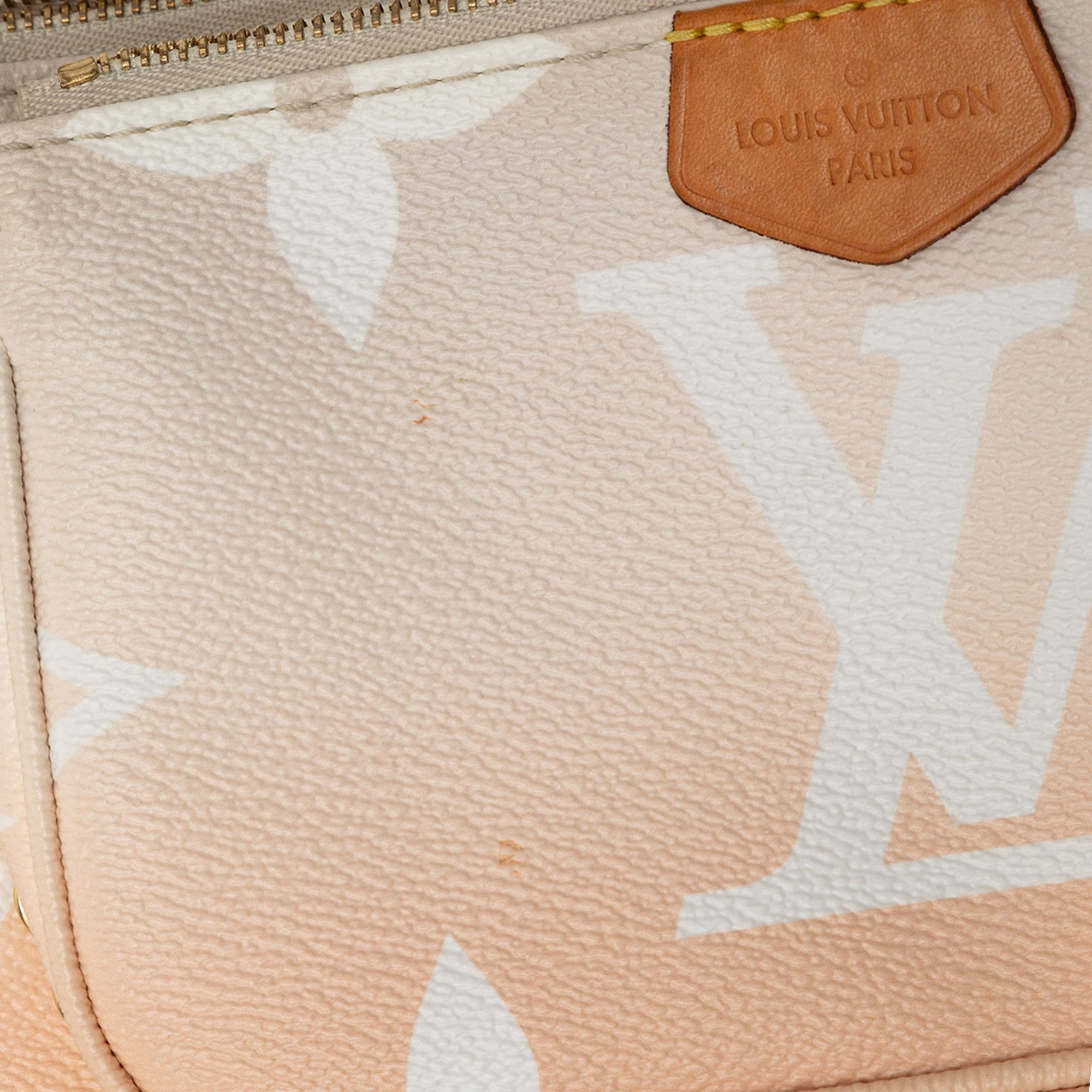 Louis Vuitton Louis Vuitton Monogram Giant By The Pool Multi Pochette Accessoires Size ONE SIZE - 7 Thumbnail