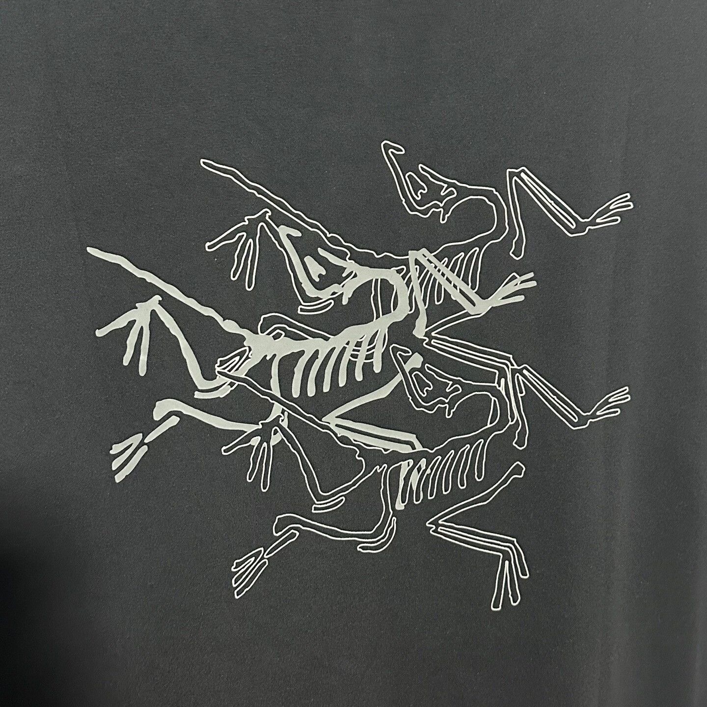 Arc'teryx arcteryx women's logo print t-shirt black Size M / US 6-8 / IT 42-44 - 5 Thumbnail