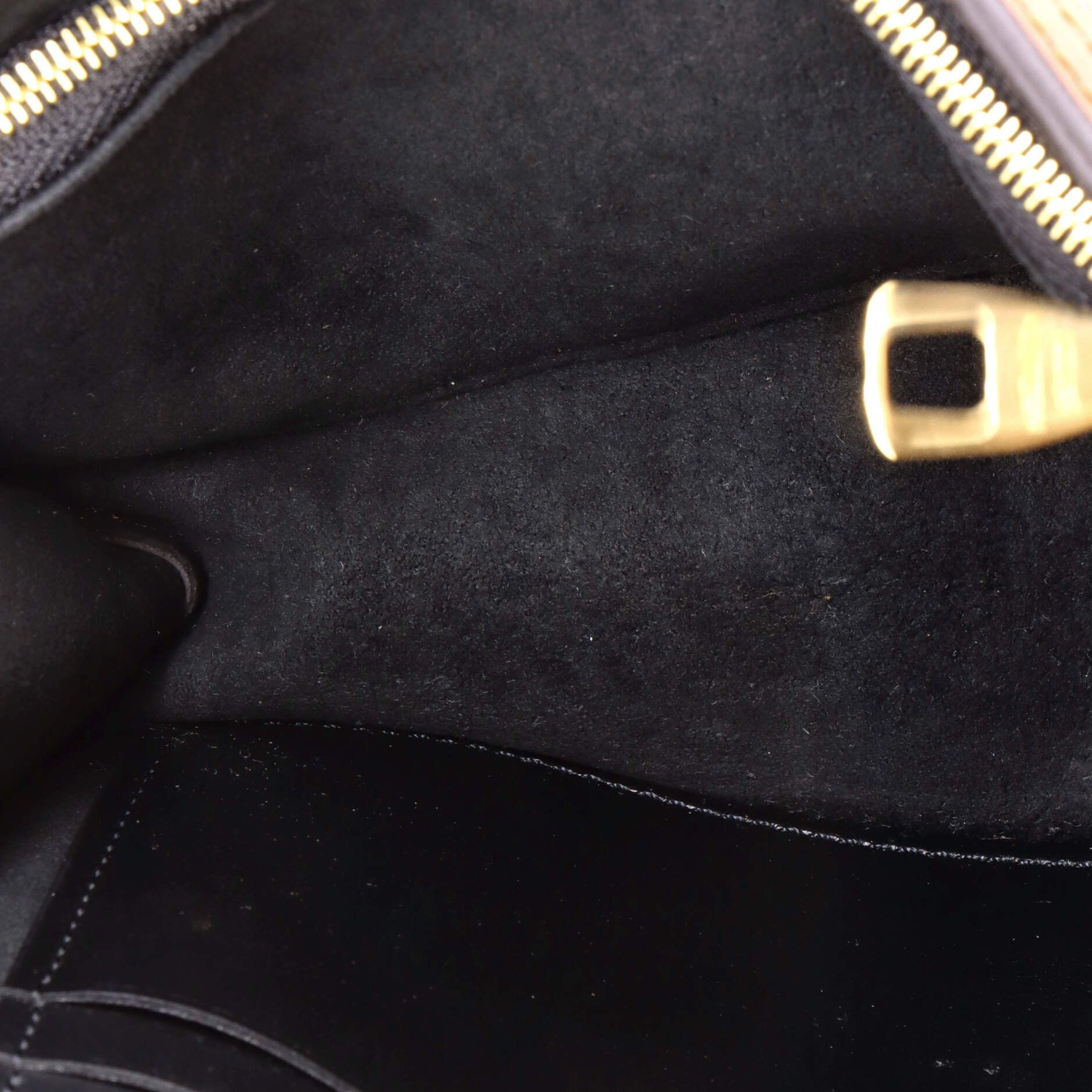 Louis Vuitton Dauphine Bumbag Reverse Monogram Canvas Size ONE SIZE - 4 Thumbnail